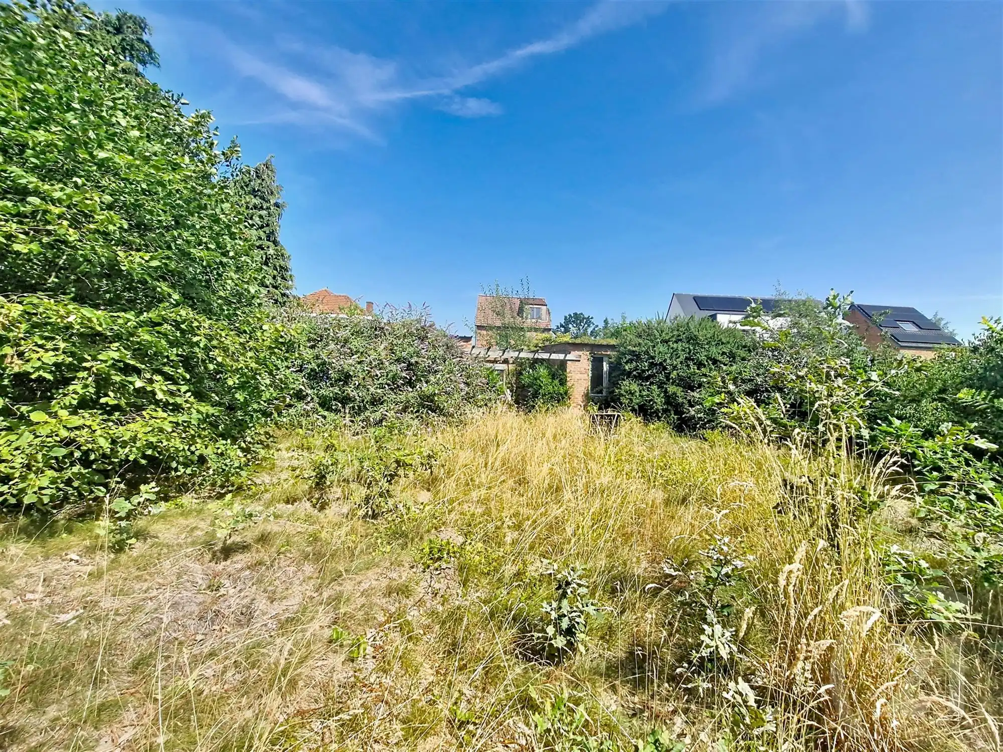 Huis te koop in Begijnendijk! foto 25