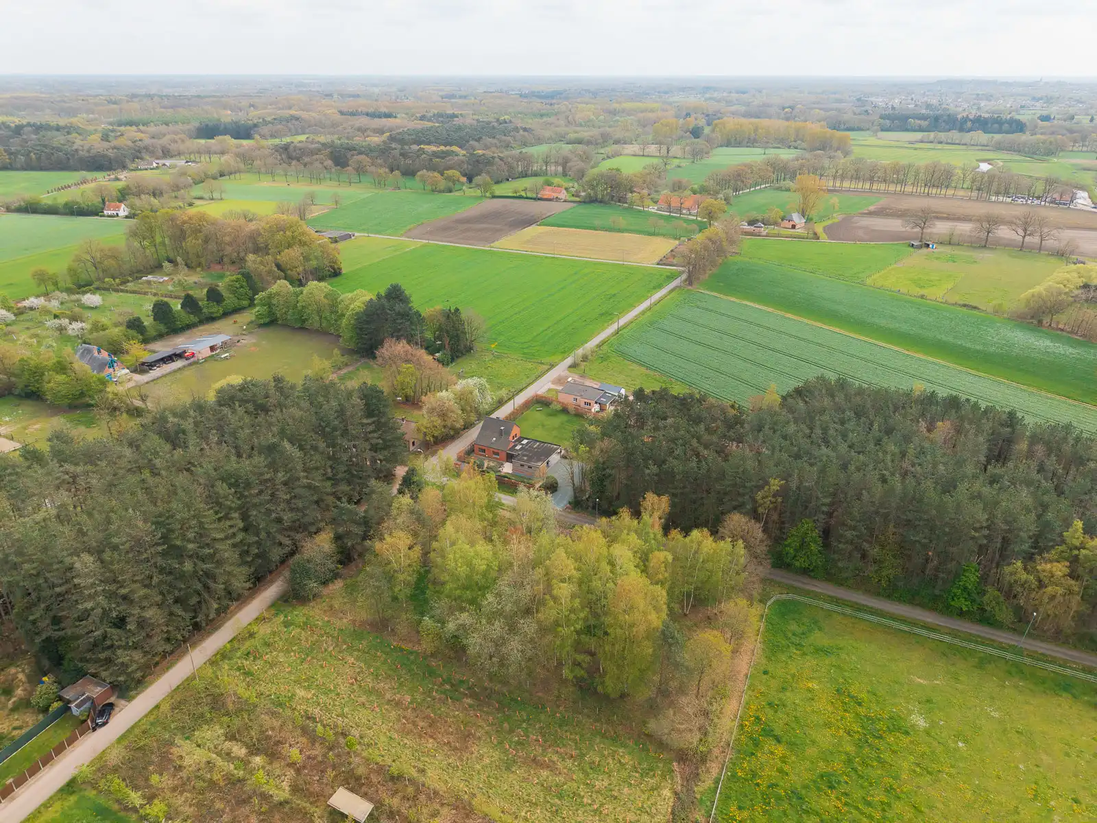 Prachtige landbouwgrond van 3826 m² gelegen in oase van rust foto 6