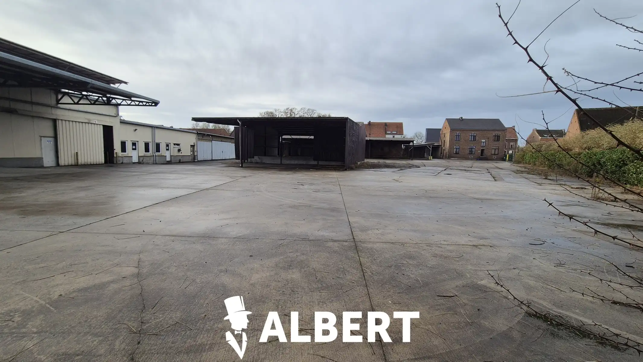 Unit 3 : gesloten loods met burelen foto 5