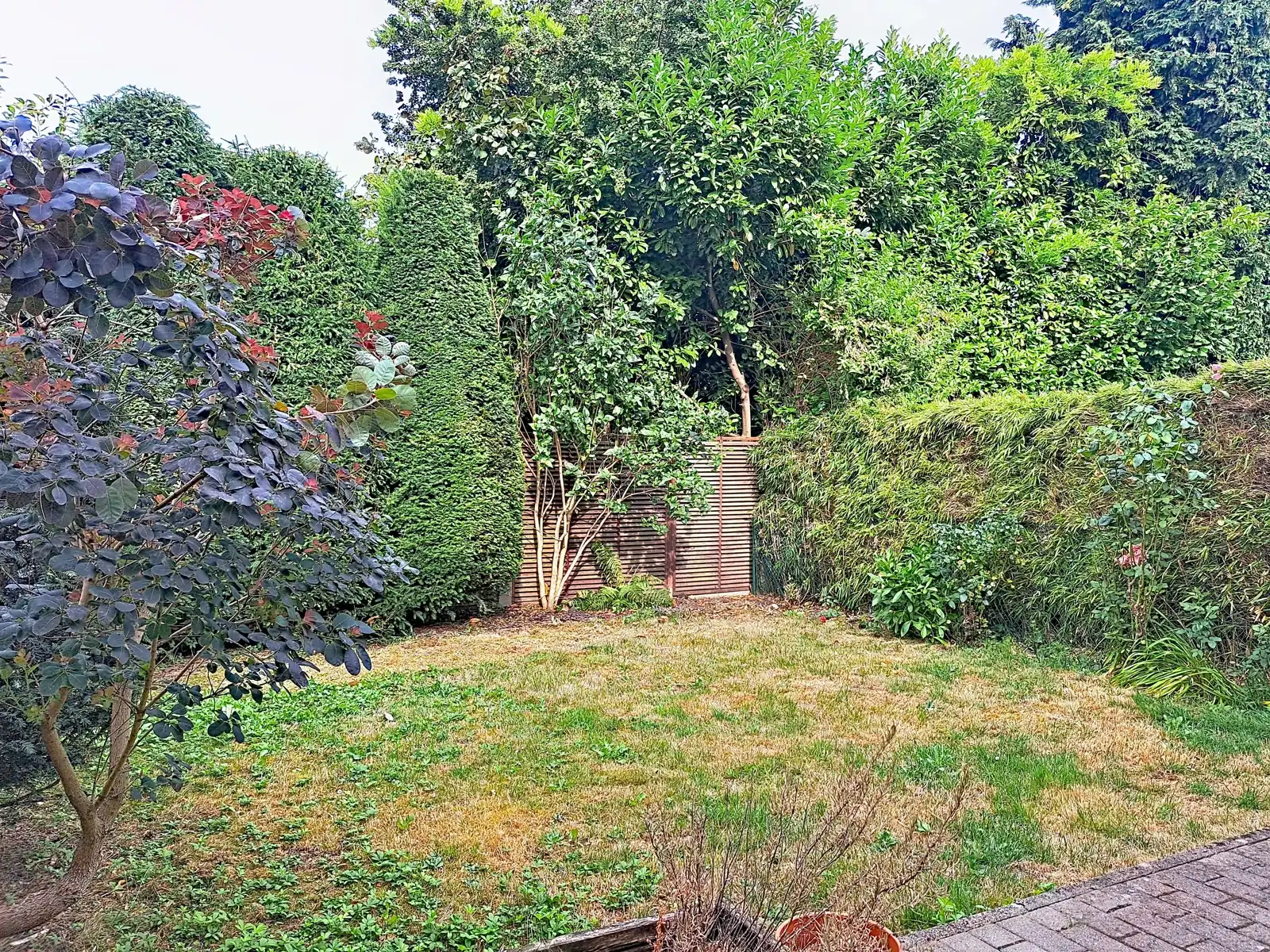 Huis te huur foto 16