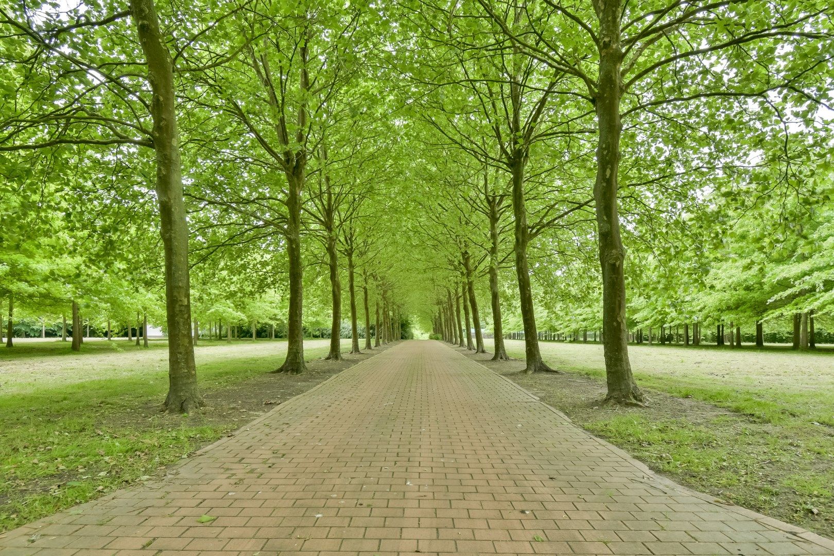 Exclusief domein op unieke locatie in Dentergem! foto 4