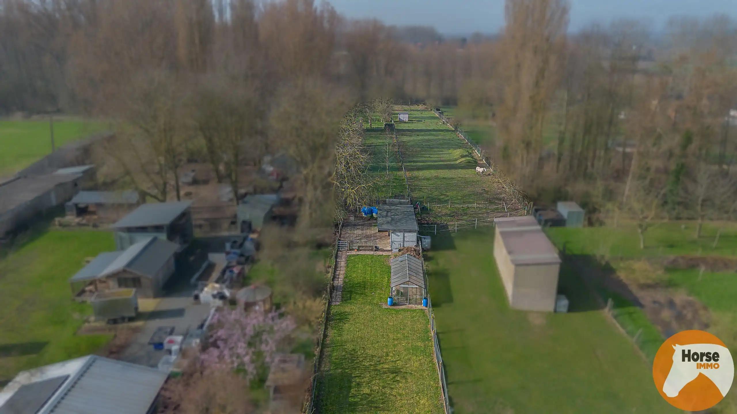 HELDERGEM - Gezellige woning met tuin, weide en stallen foto 32
