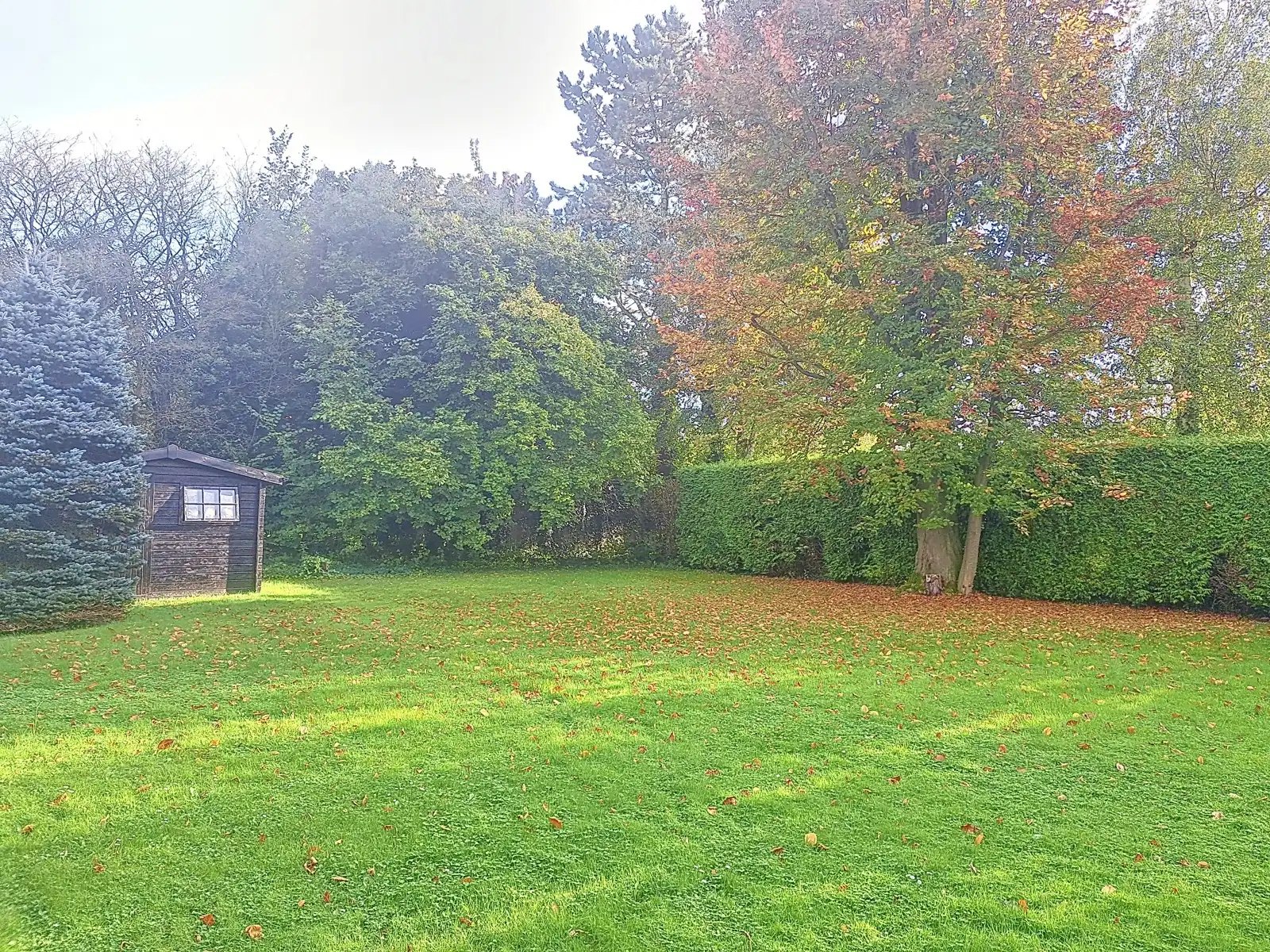 Huis te huur foto 12