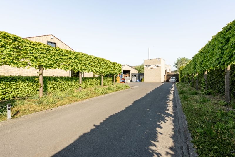 Uniek commercieel vastgoed met villa - magazijn - winkelruimte - parking! foto 3