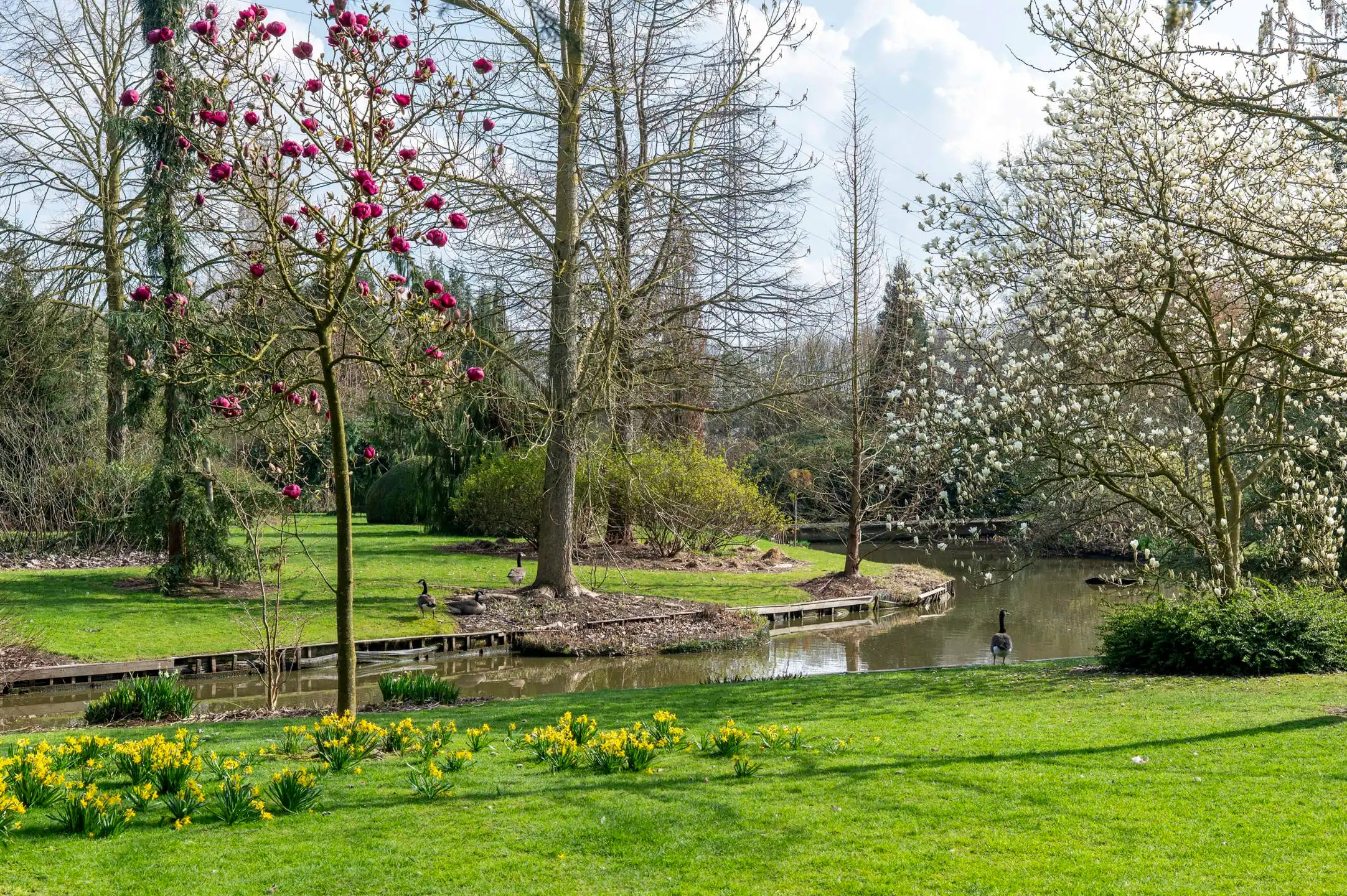 GEEL - Stijlvolle villa met parktuin foto 21