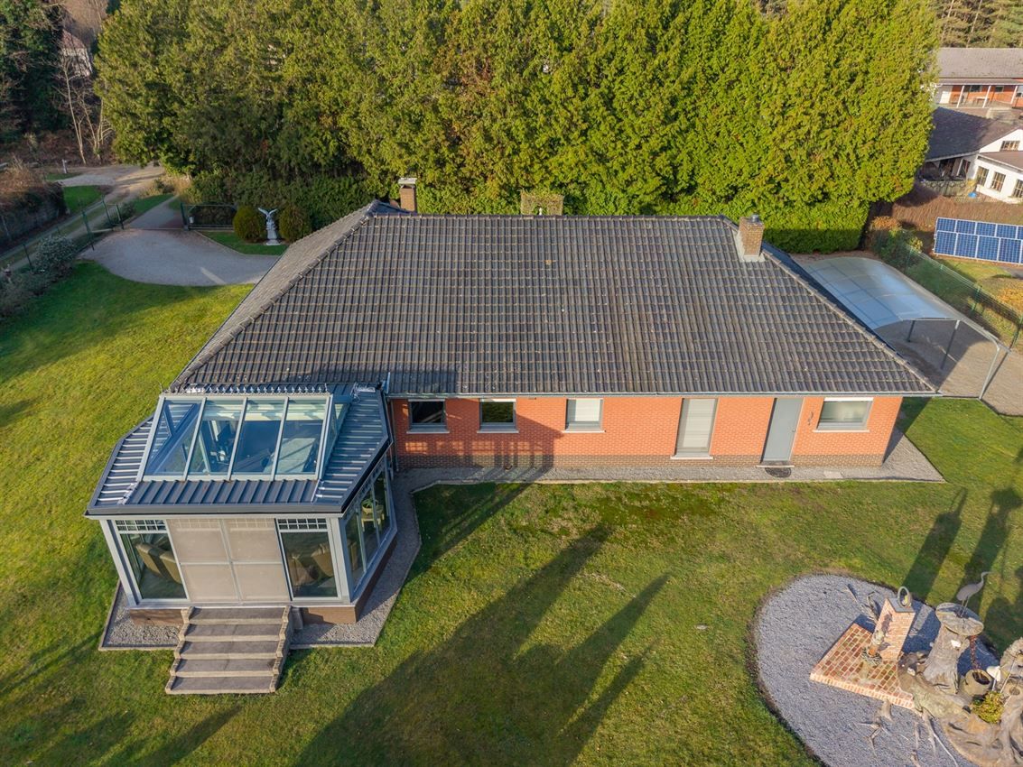 verborgen parel in het groen foto 3