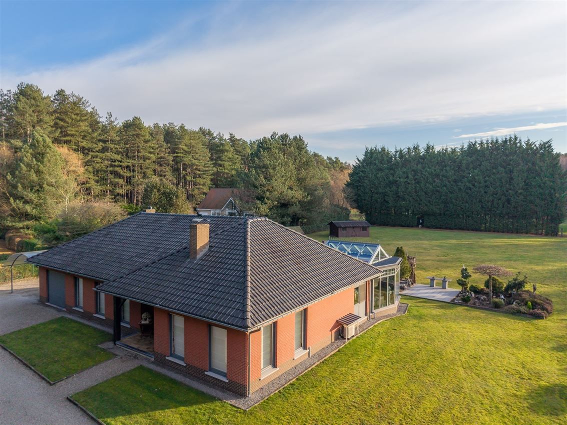 verborgen parel in het groen foto 4