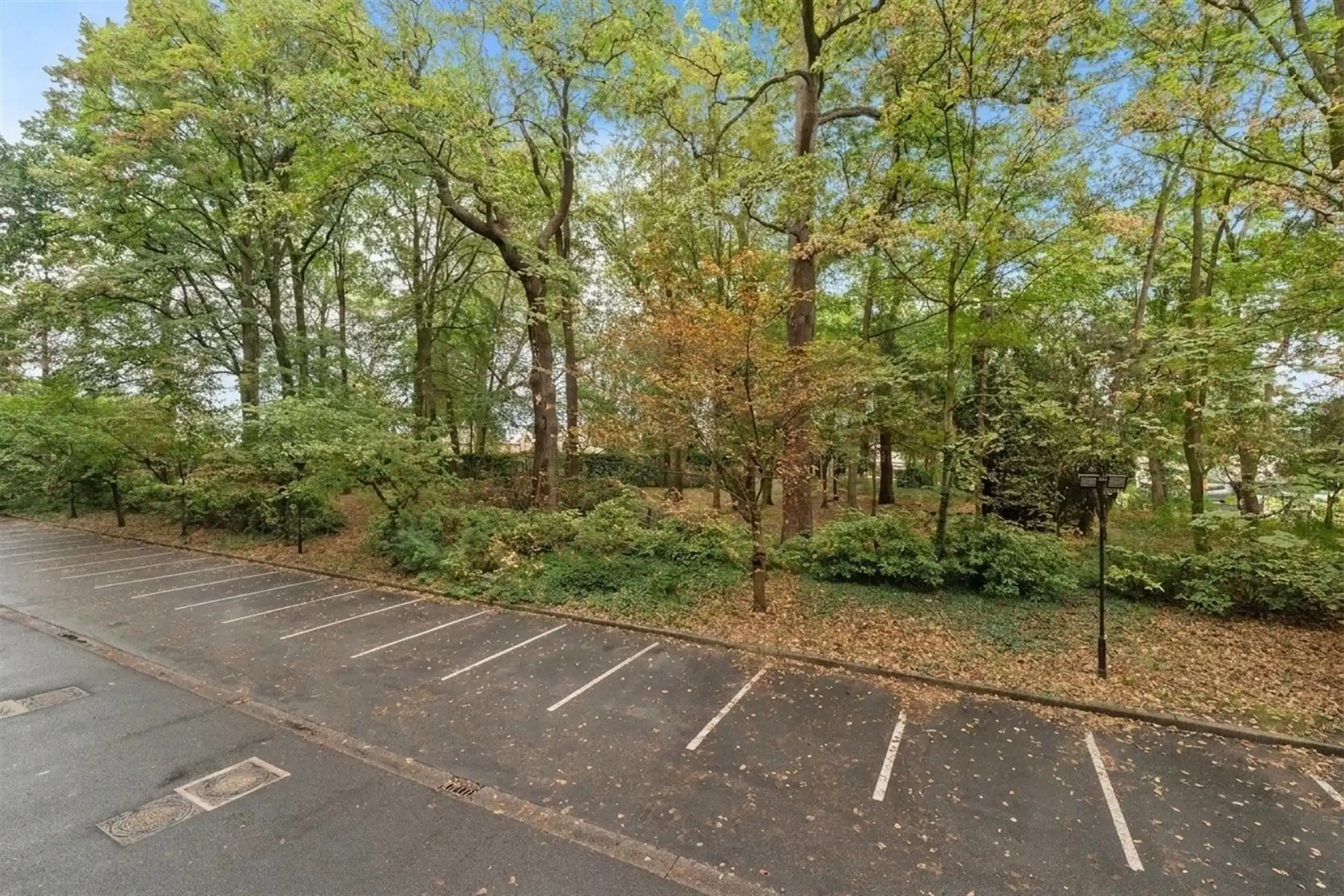 Wonen in de bomen: gezellig en instapklaar 2-slaapkamerappartement met terras foto 11