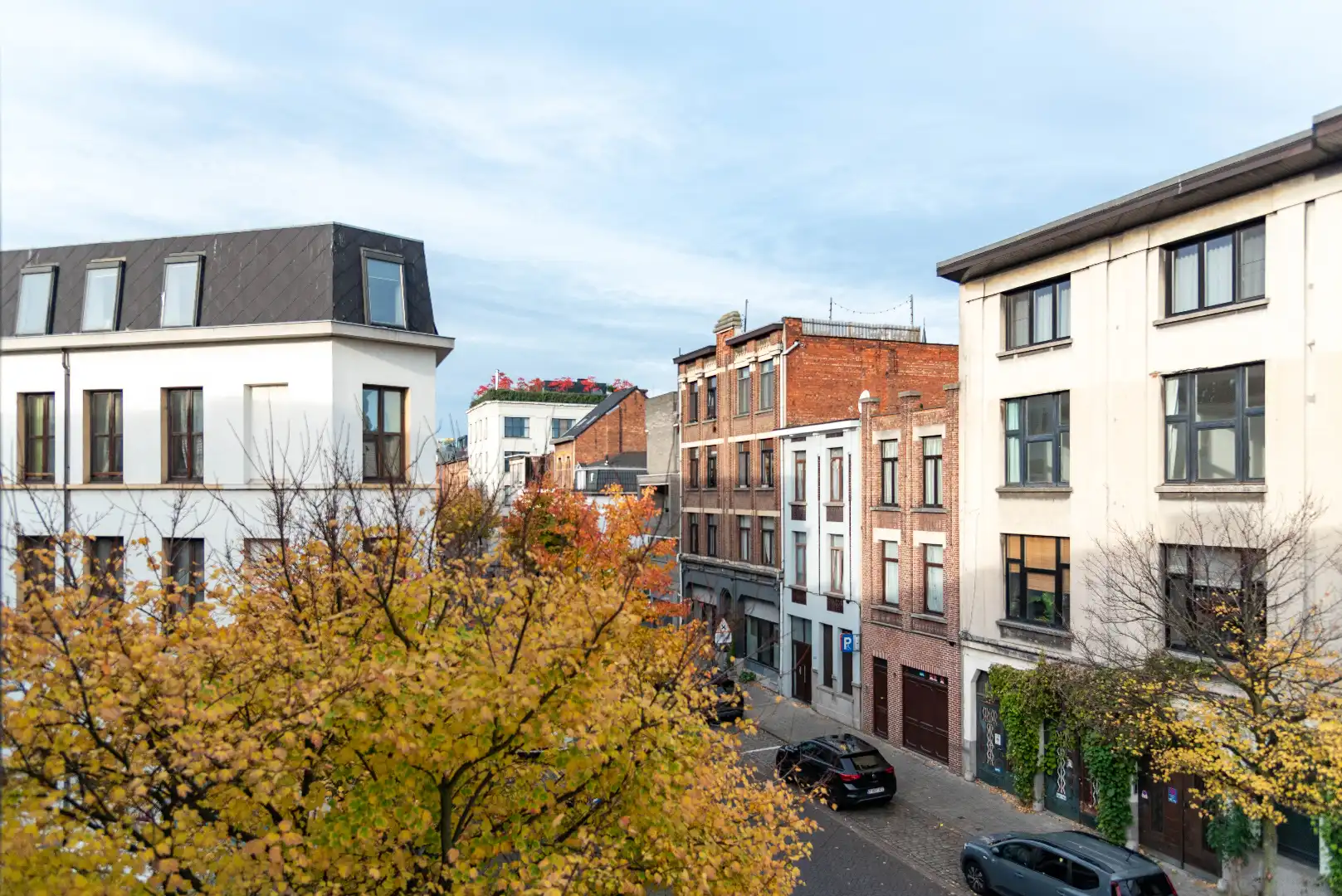 Lichtrijk hoekappartement in Borgerhout foto 5