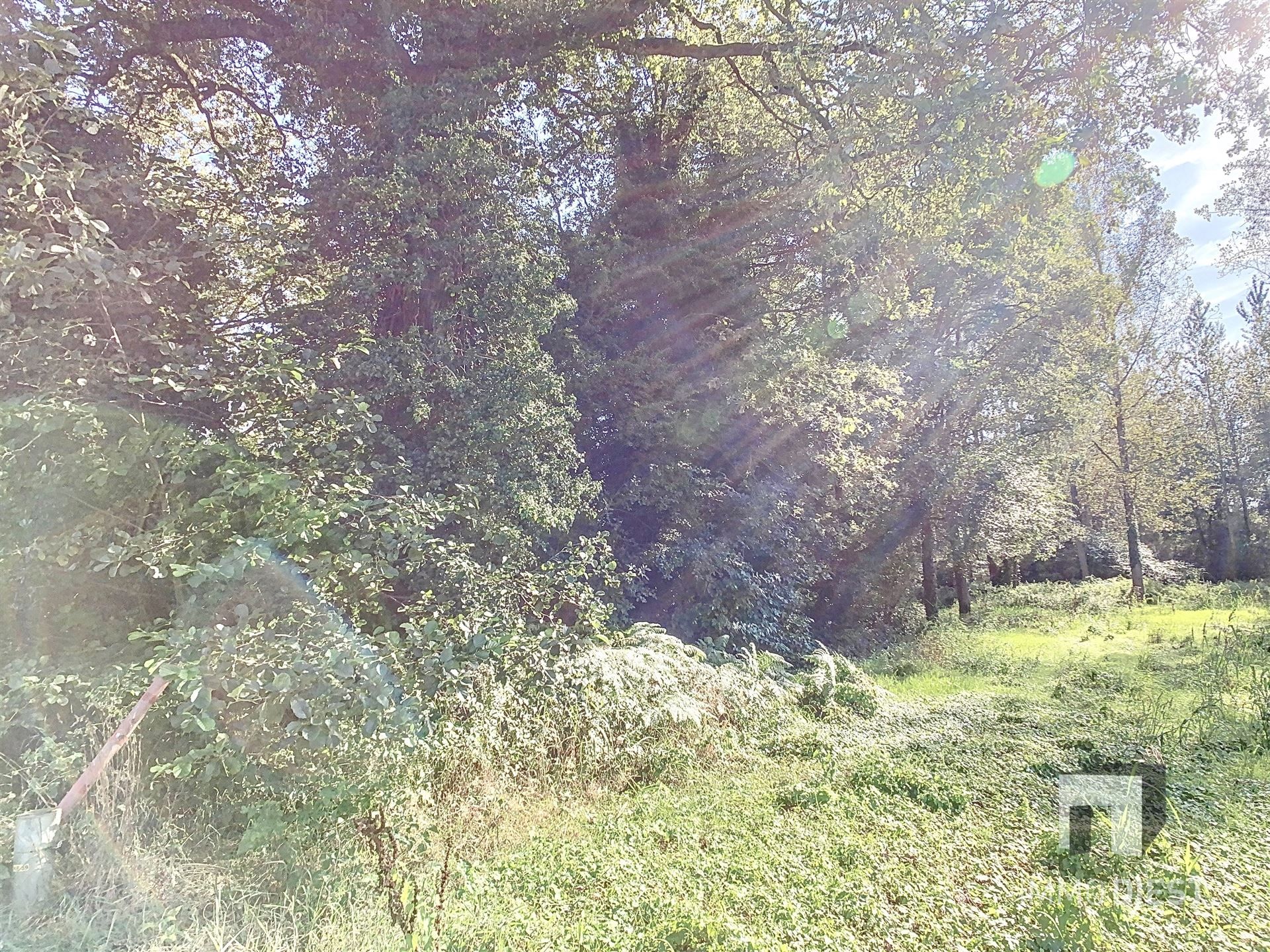 Grond met een oppervlakte van 79a 45ca - natuurgebied foto 4