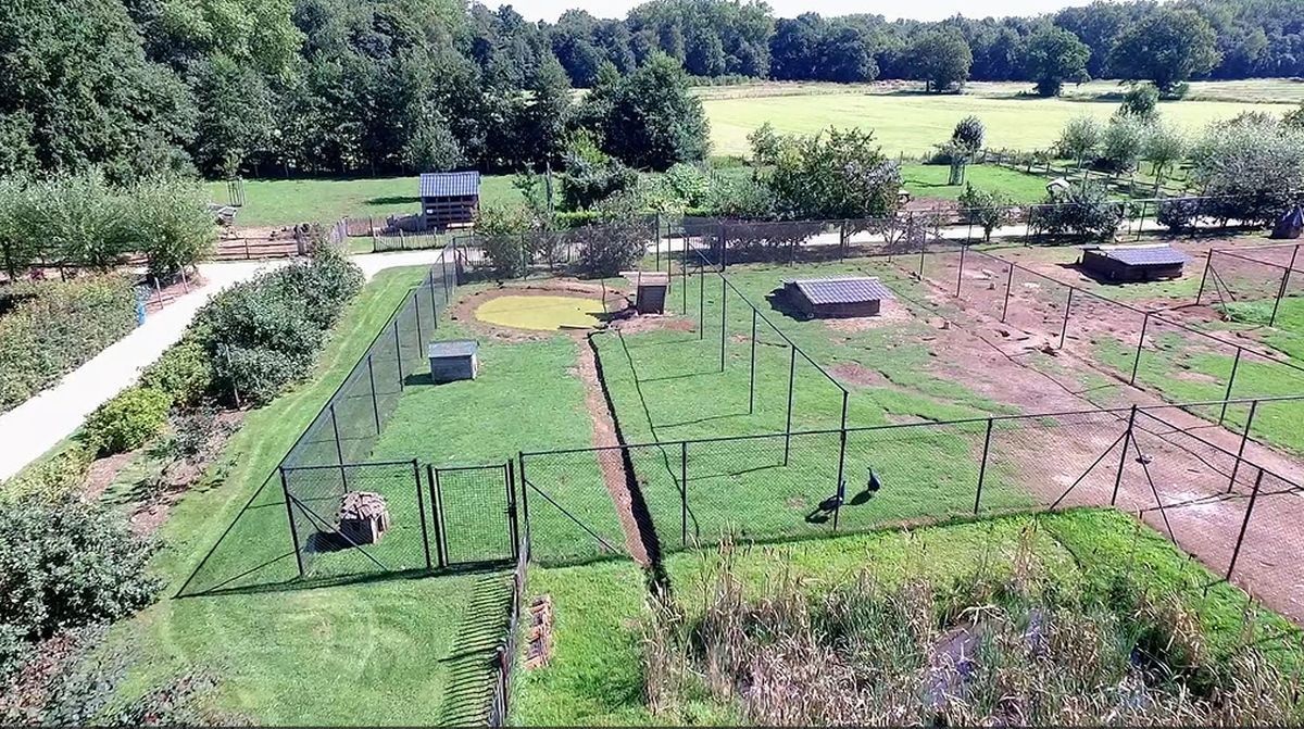 Hoeve met recreatie te koop centrum Tessenderlo op circa 2 ha foto 18