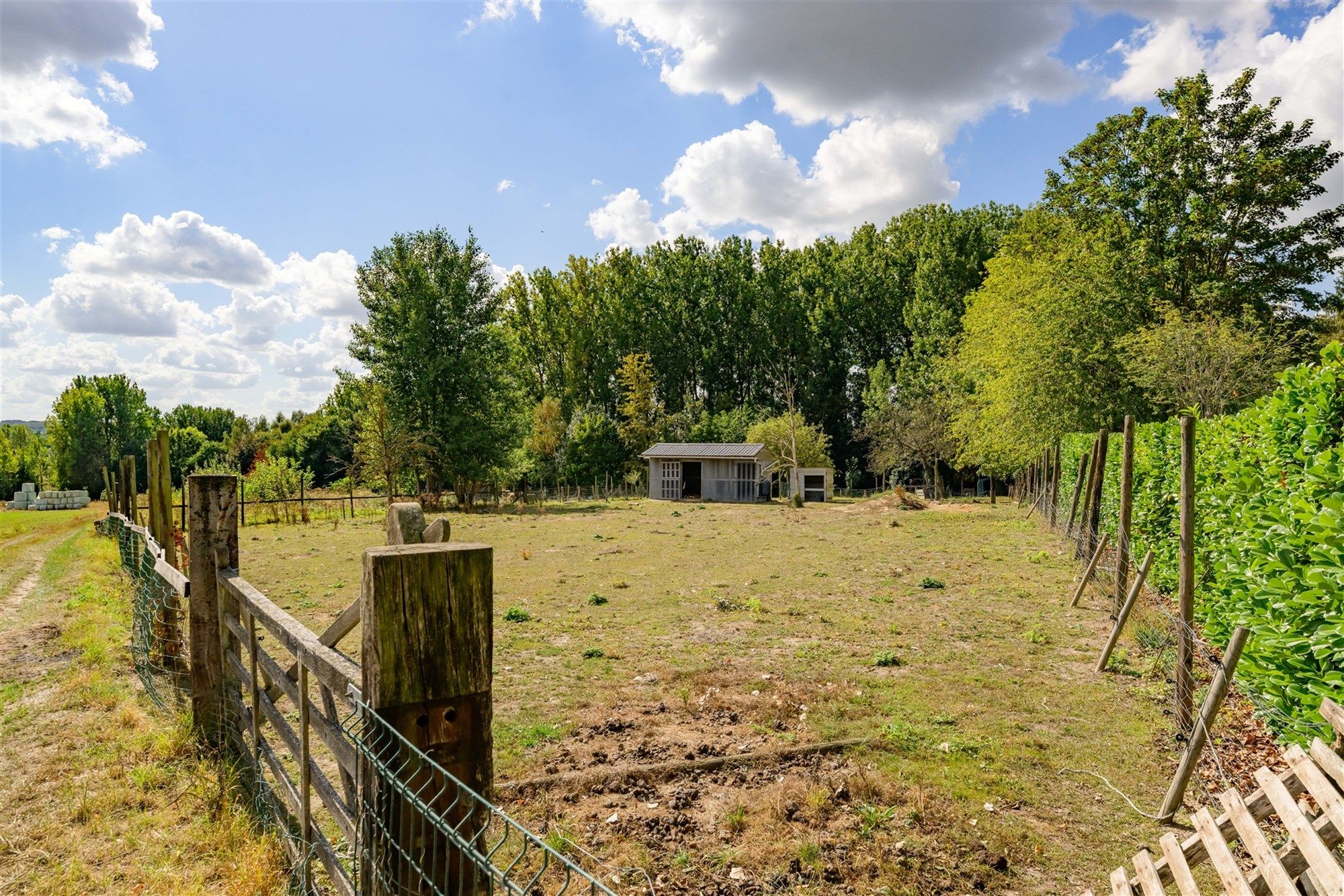 Vrijstaande woning met prachtig zicht foto 3