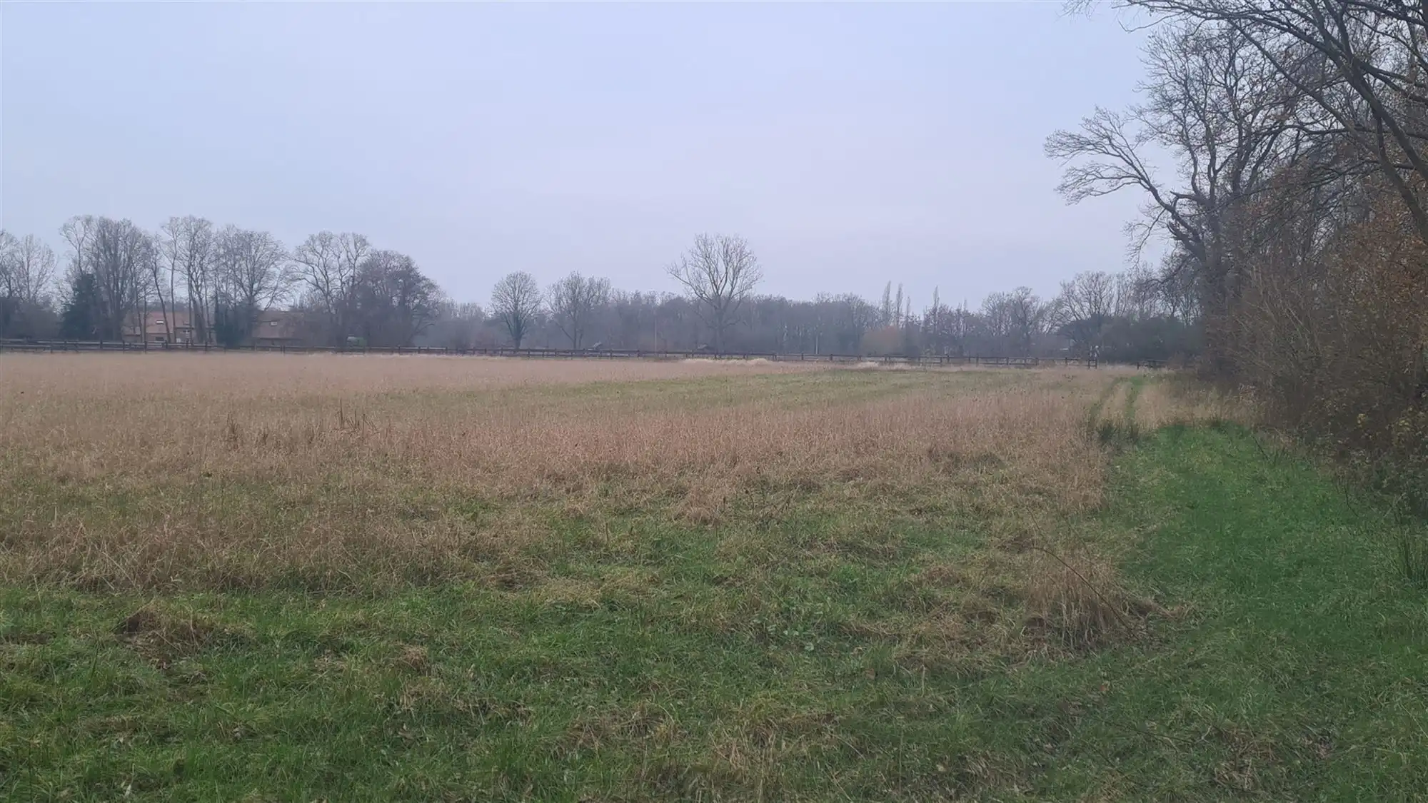 Landbouwgrond foto 9