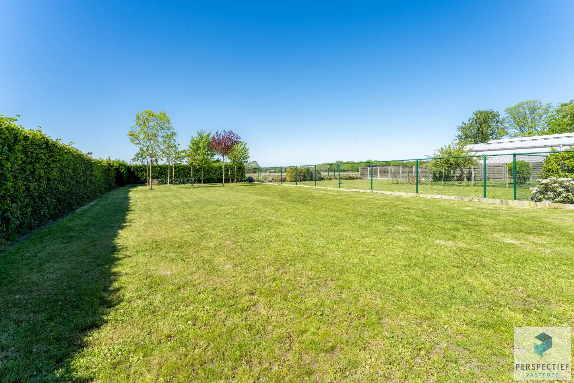 Ruime, instapklare woning met 4 slaapkamers, garage en magazijn op 970 m² foto 4