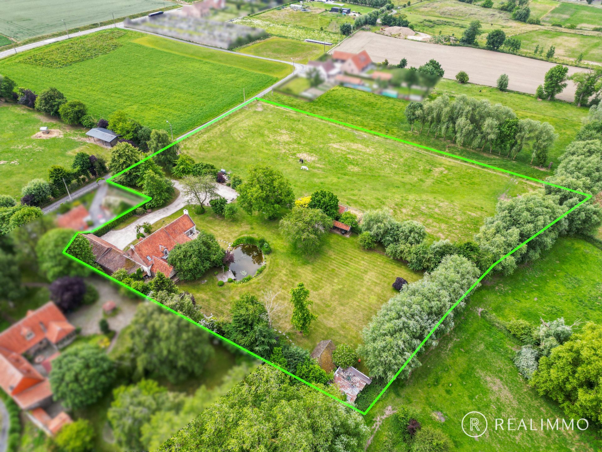 Hoofdfoto van de publicatie: Wonen in alle rust op meer dan 1,2 hectare!