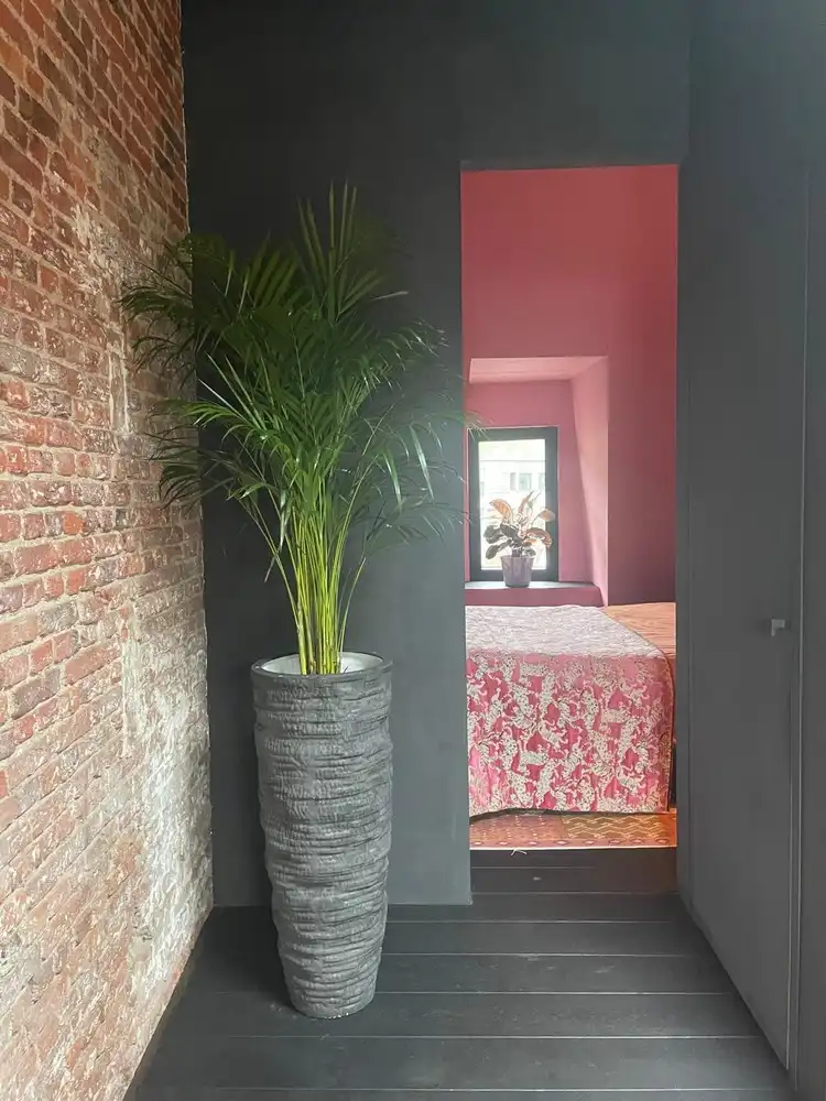 Karaktervolle erfgoedwoning op topligging tegenover de Sint-Gummaruskerk. foto 48