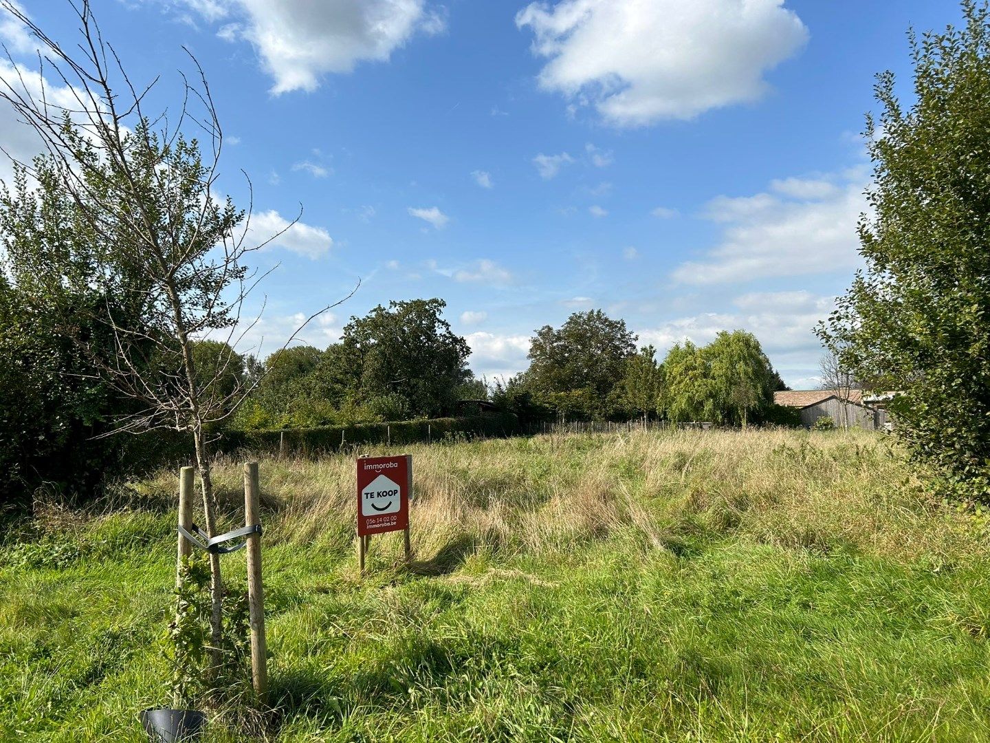 Perceel bouwgrond (1700m²) op topligging te koop in Olsene.  foto 2