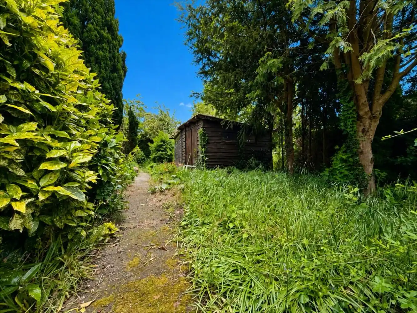 Op te frissen alleenstaande woning met riante tuin foto 27