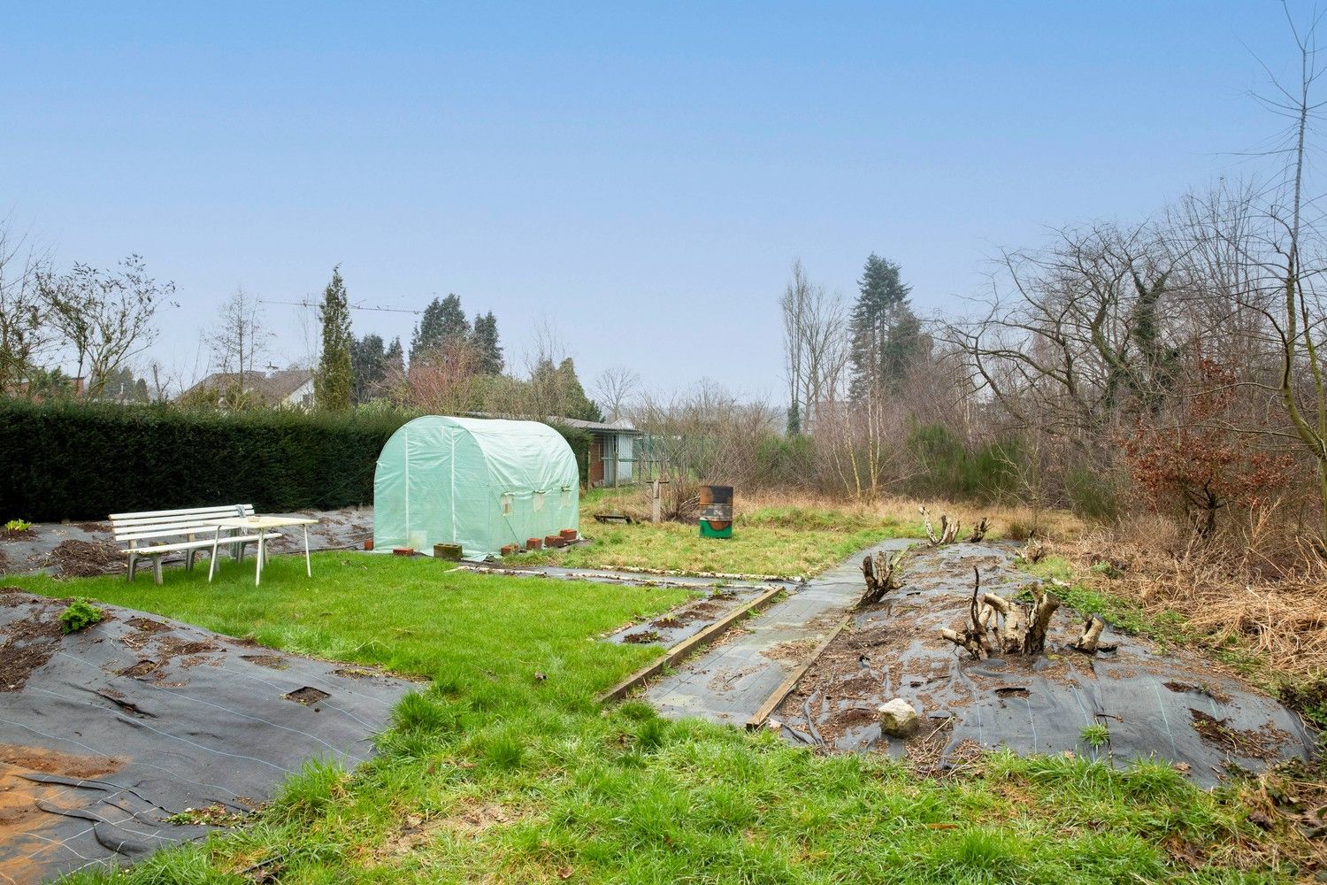 Te renoveren woning met veel mogelijkheden op een ruim perceel van 32a40ca te Lanaken! foto 9