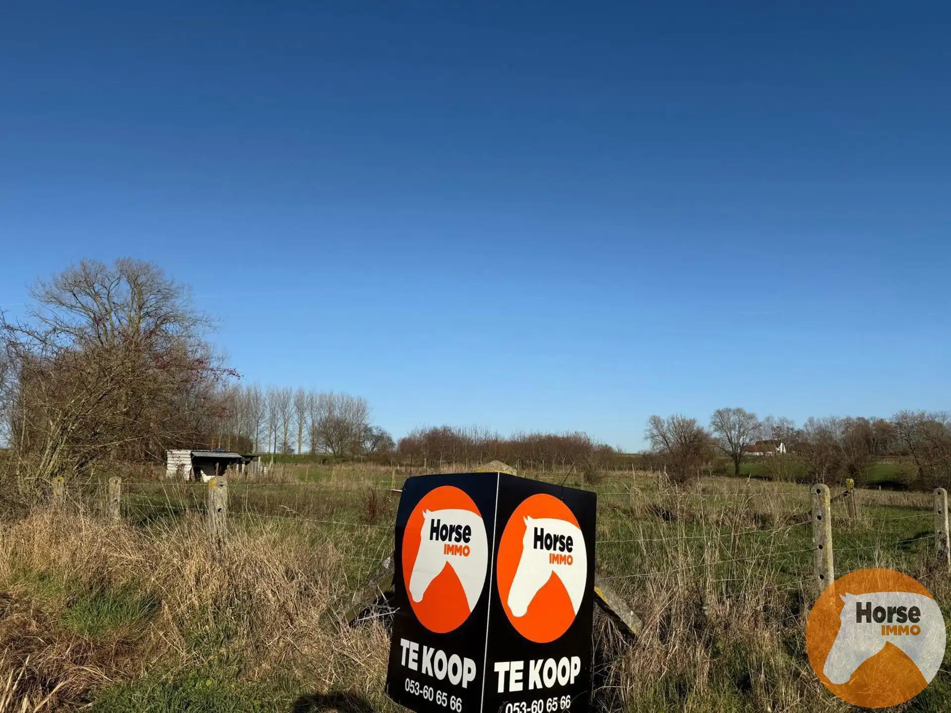 HAALTERT – Weide met stal op ± 65 are foto 3