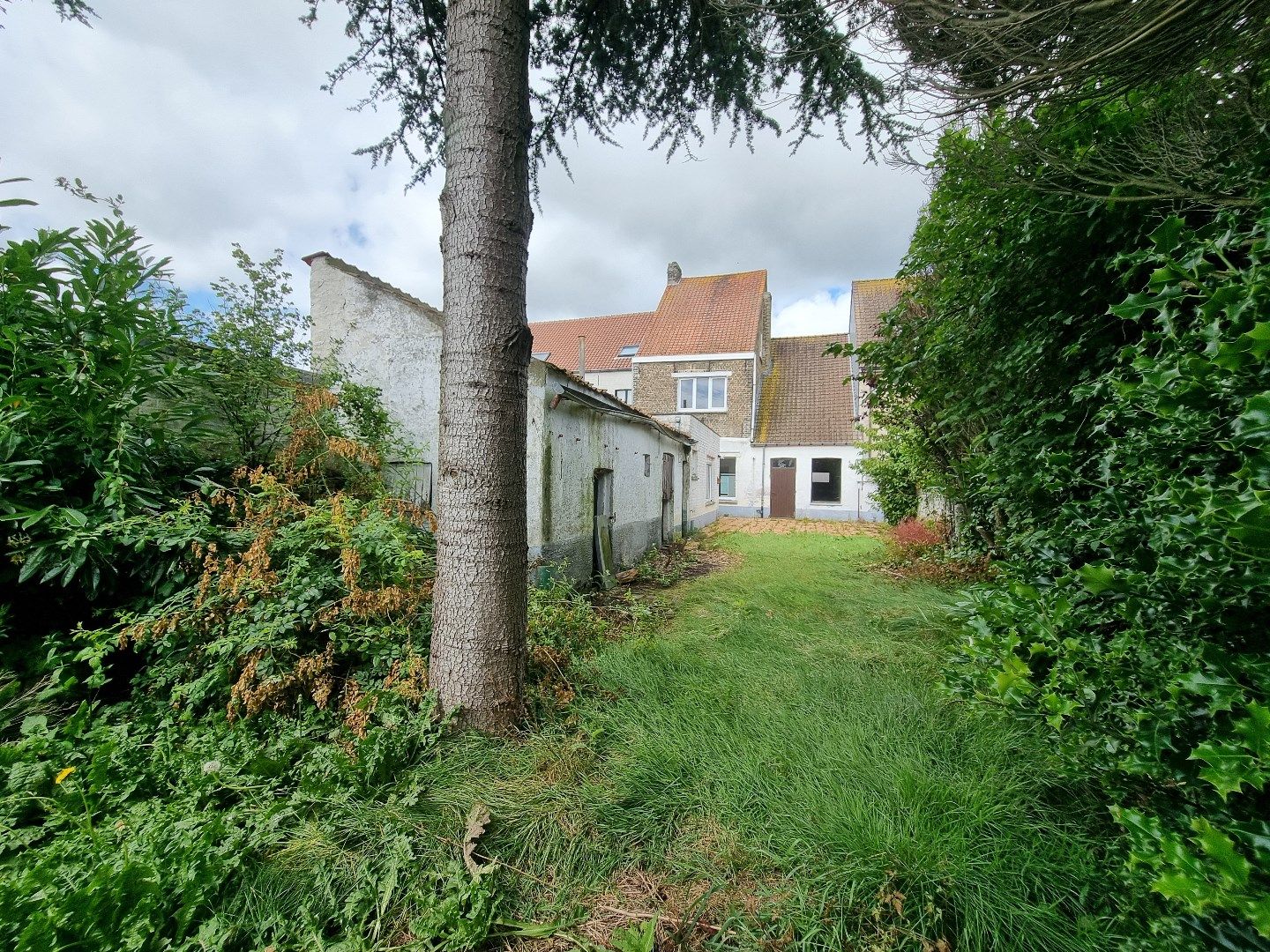 Te renoveren woning voorzien van zeer grote garage op mooi, breed perceel (9 meter)  foto 3