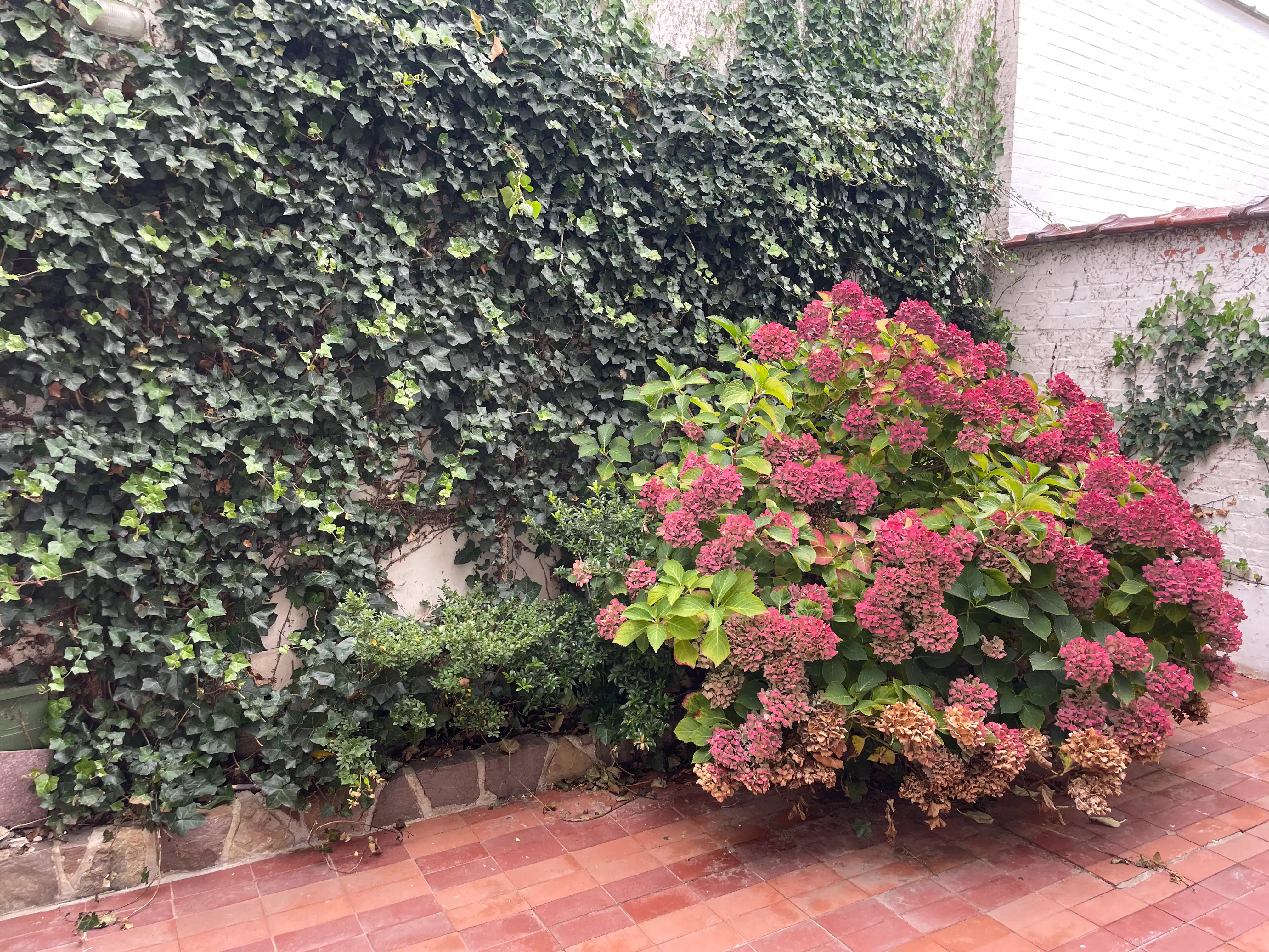 Ruime vier-slaapkamer BURGERWONING + garage & groot terras foto 21