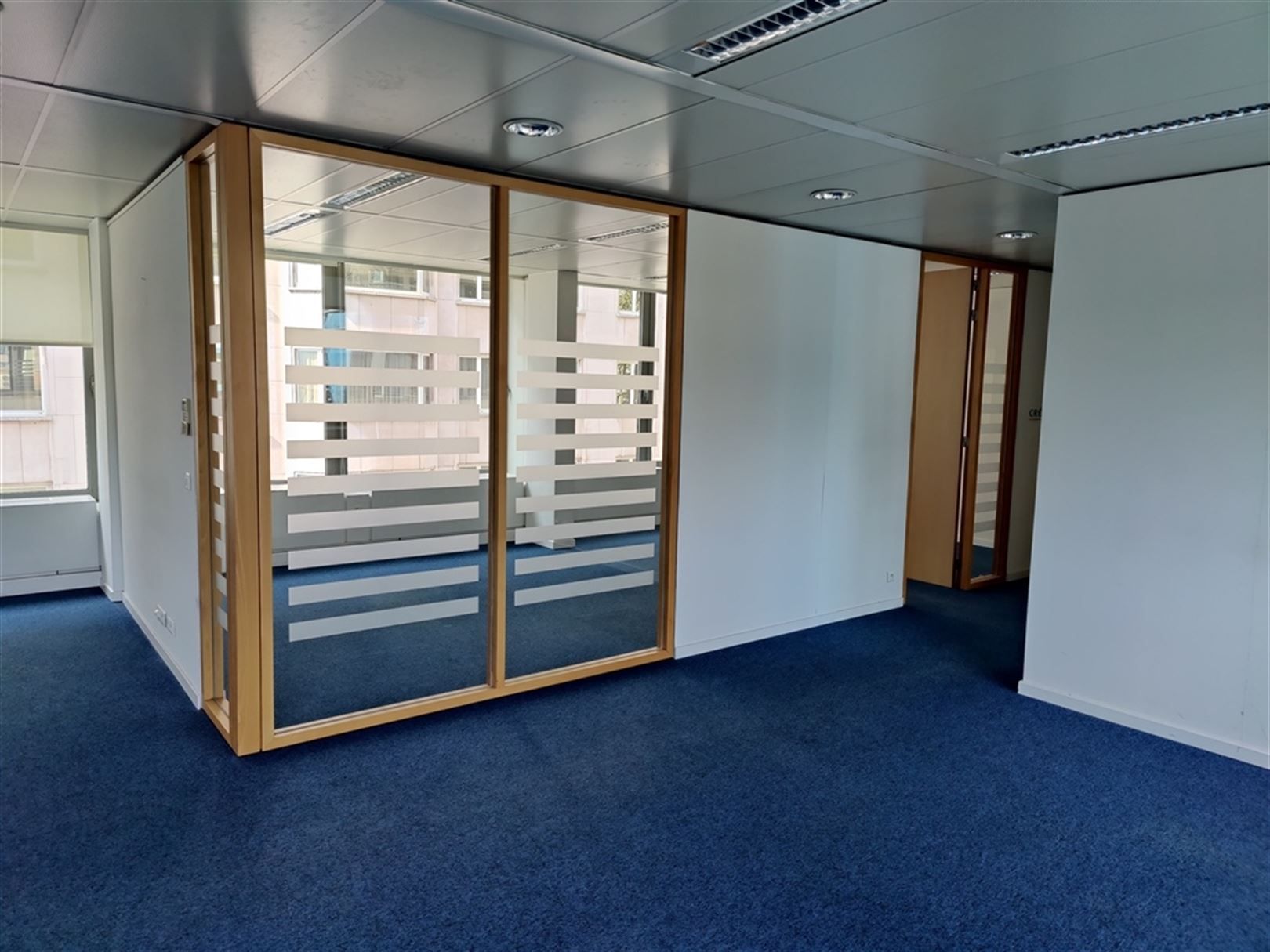 LOUIZA 209A: 444m² foto 5