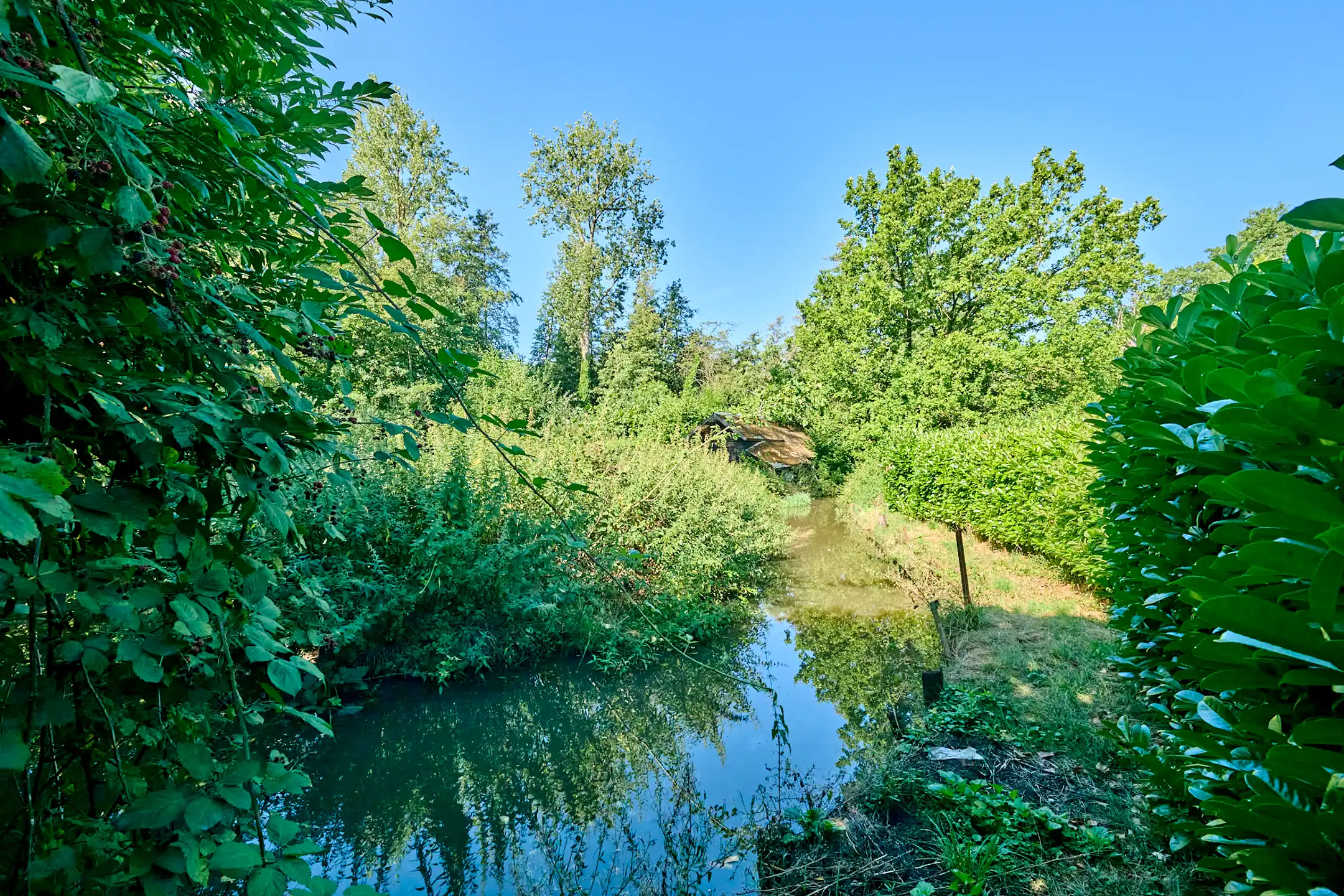 RUIME GEZINSWONING MET ZICHT OP ACHTERLIGGEND GROEN foto 16
