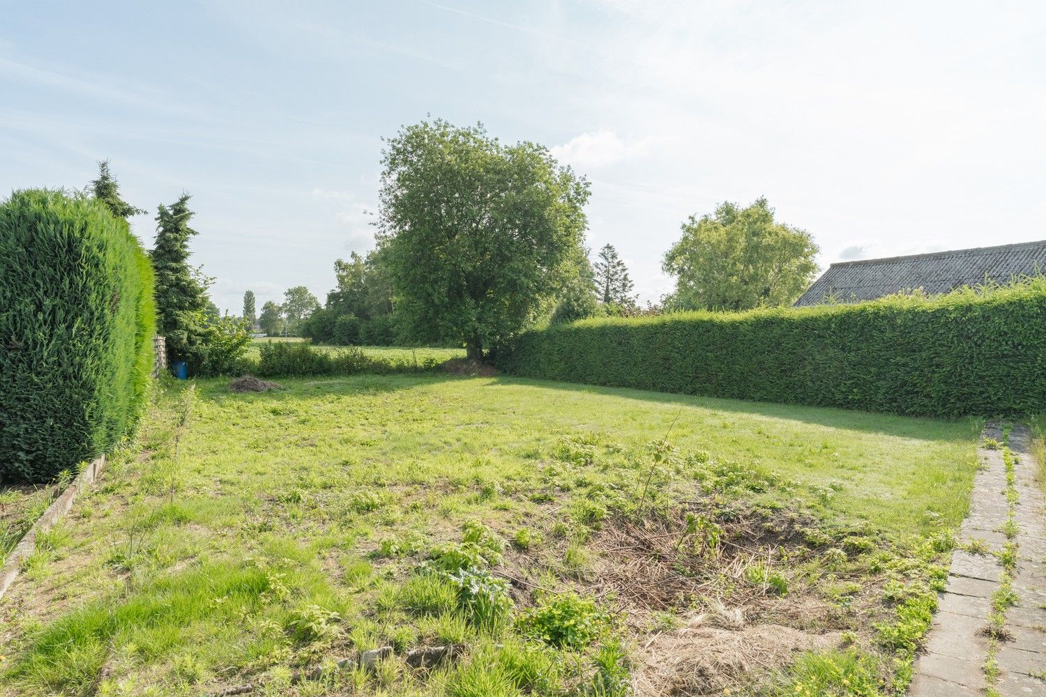 Ruime splitlevelwoning op 1126 m² in Achel, nabij de Nederlandse grens! foto 36