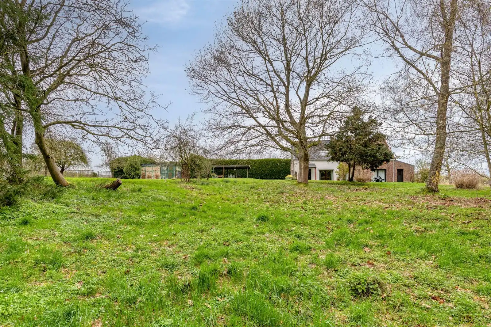 Unieke 3-gevelwoning met uitbreidingspotentieel naast het Hallerbos  foto 23