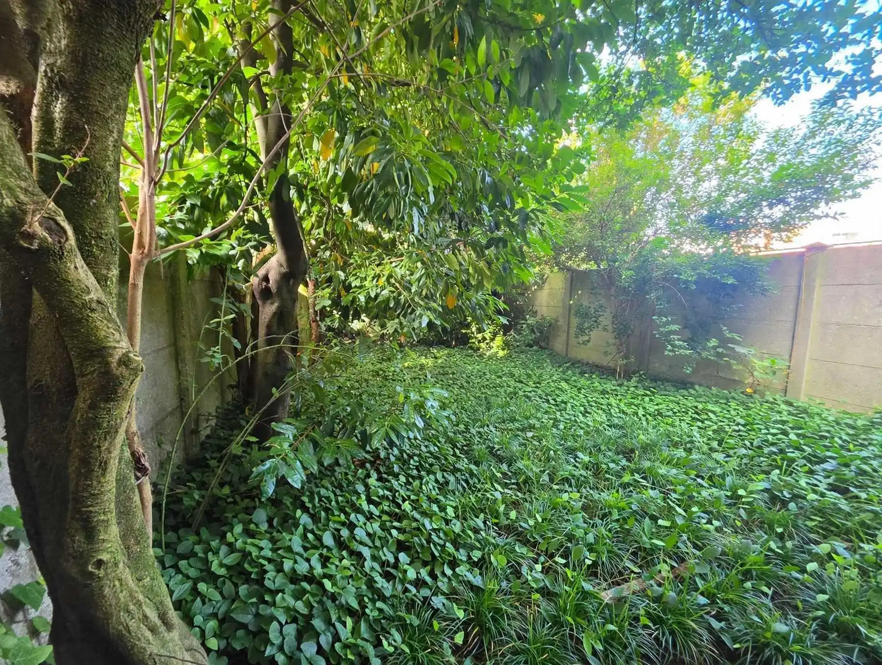 Handelspand met tuin op commerciële ligging interessante investering of eigen gebruik foto 10