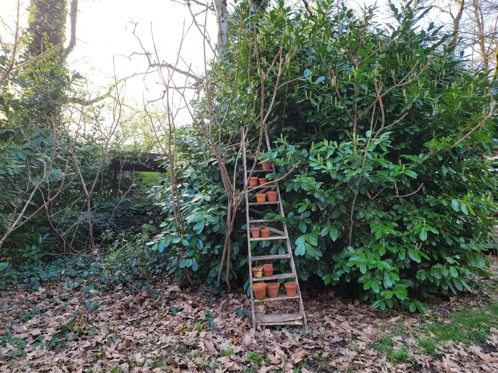 Huis te koop foto 35