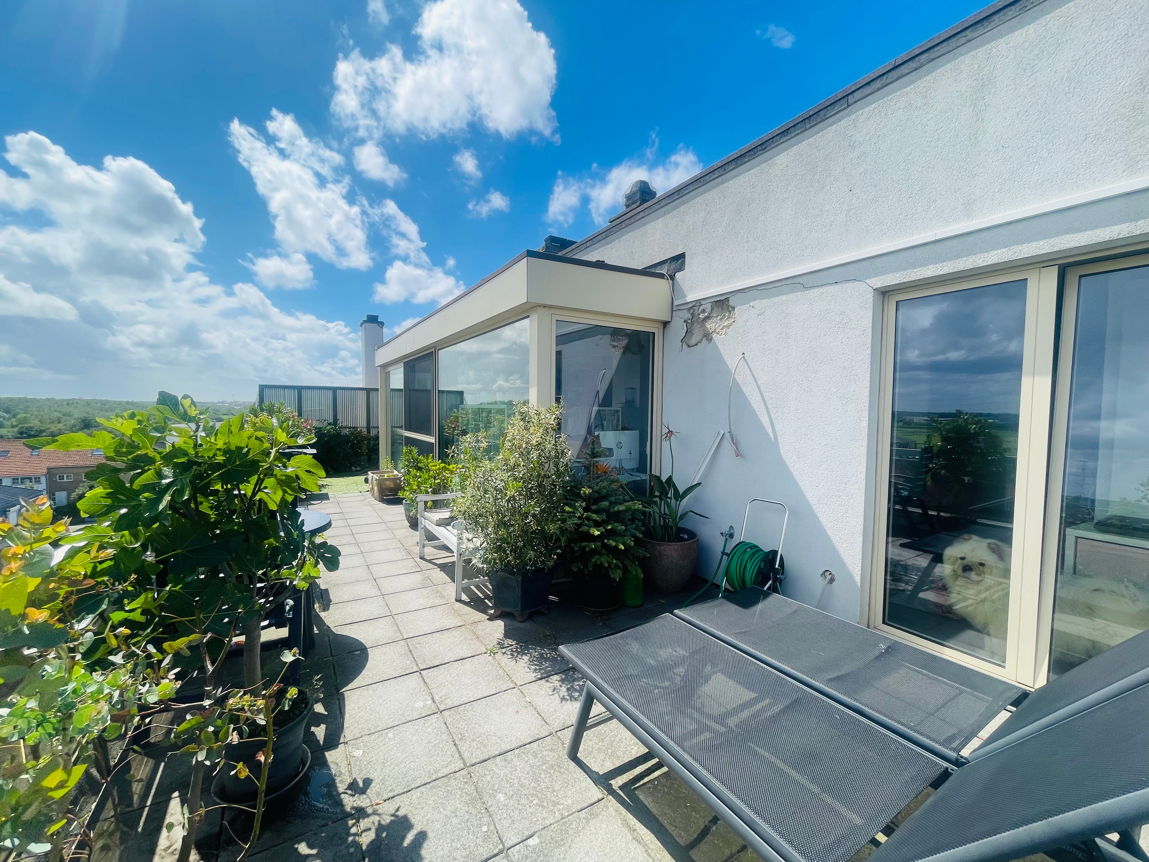 Toplocatie  Zeebrugge, op 50 meter van het STRAND,  Totaal vernieuwde ruime PENTHOUSE 132m² met TERRAS 36m² op het zuiden, 4 slaapkamers,2 badkamers, 4 jaar geleden gerenoveerd.  Gans de dag zon, van zonsopgang tot zonsondergang. foto 3