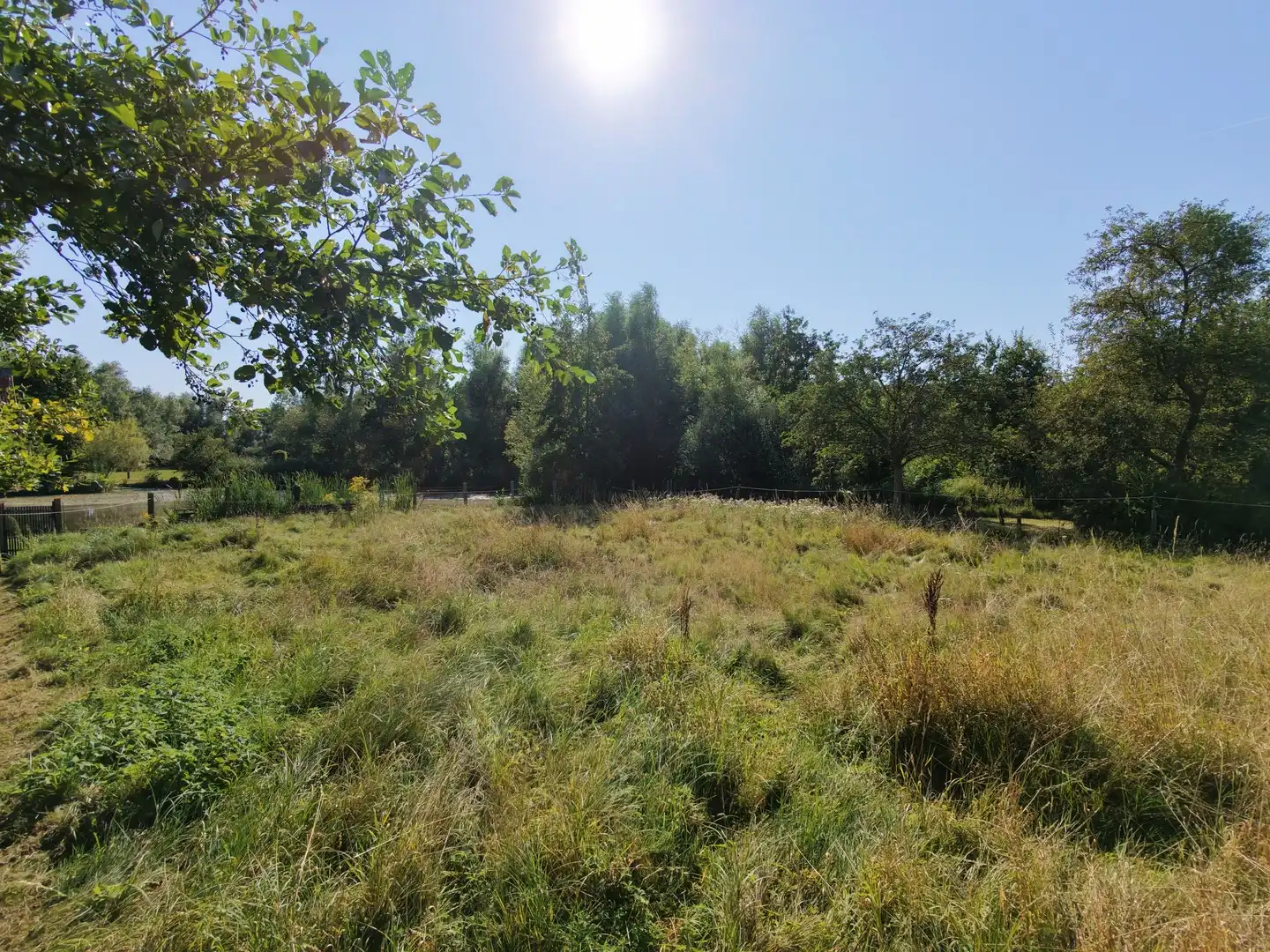 Toegankelijk stuk weidegrond op prachtige locatie foto 5