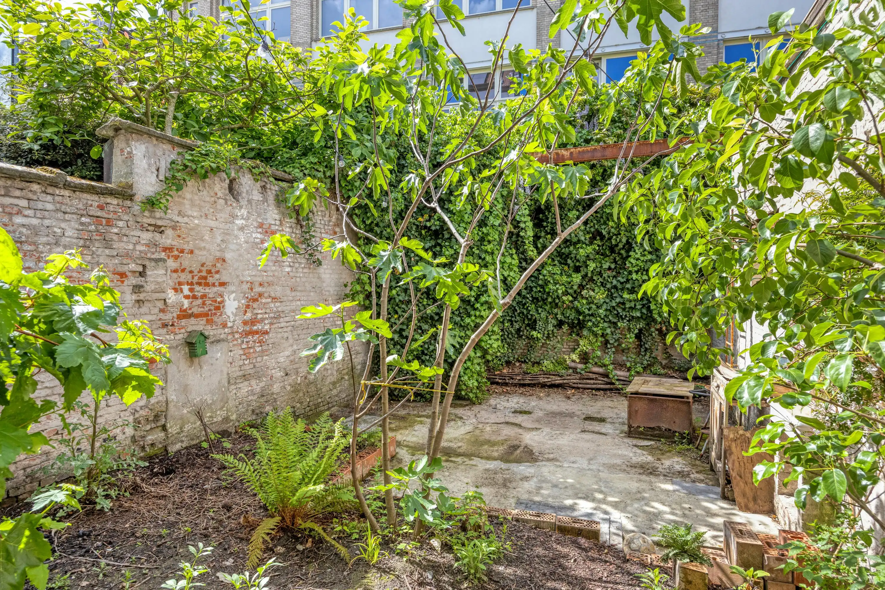Charmant herenhuis te koop aan het Groen Kwartier in Antwerpen foto 13