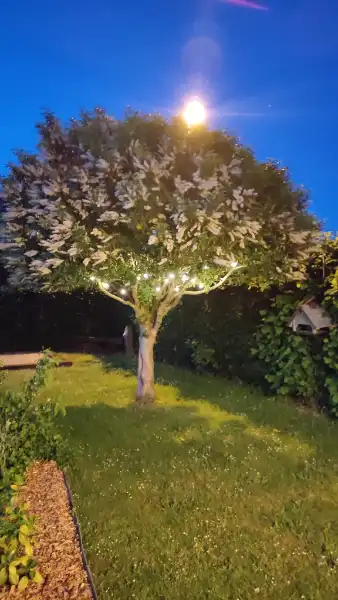 Luxueuze villa met 4 slaapkamers, prachtige tuin en hoogwaardige afwerking in Tildonk foto 55