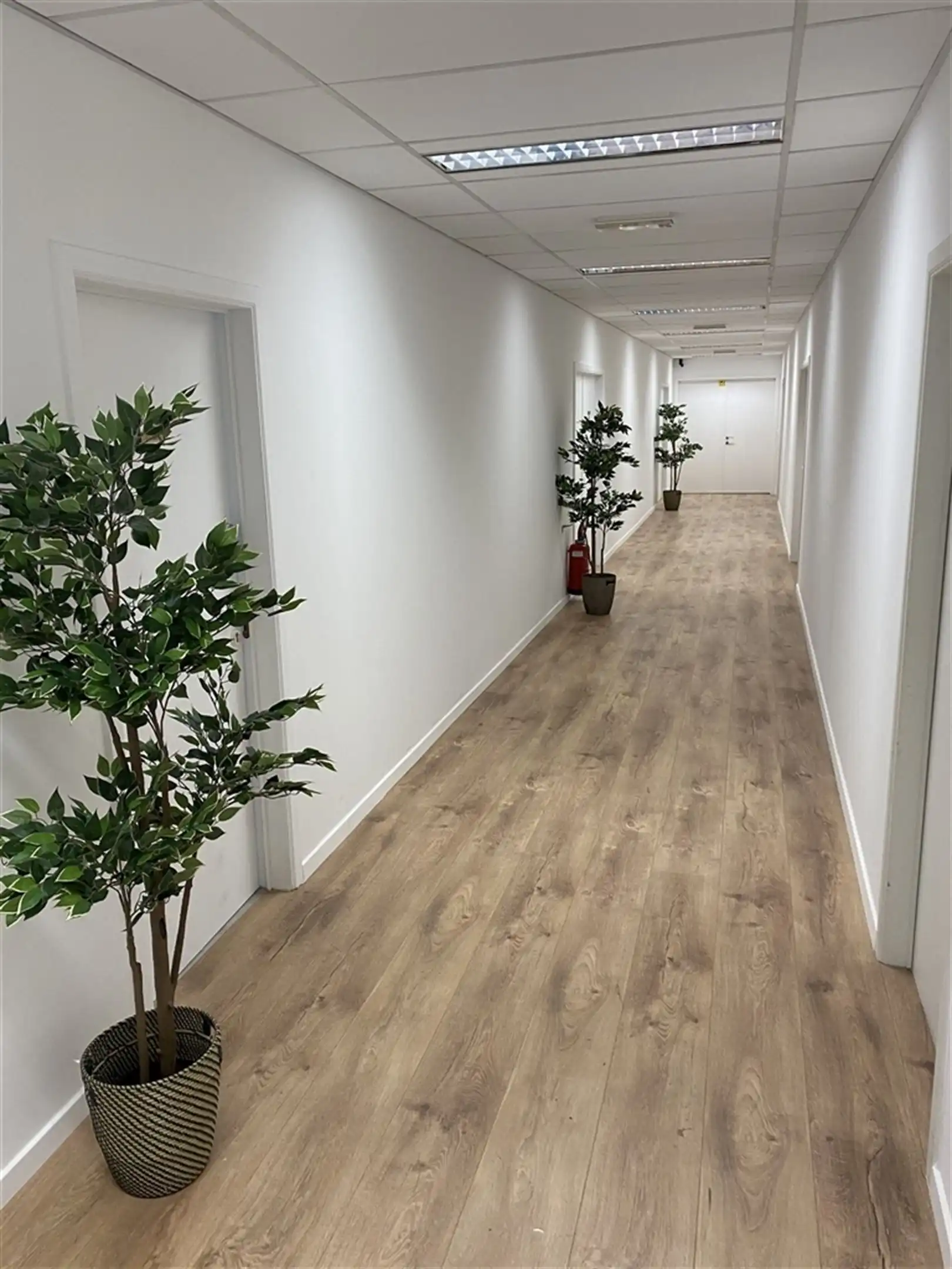 LOUVAIN 467: vanaf 40m² foto 6