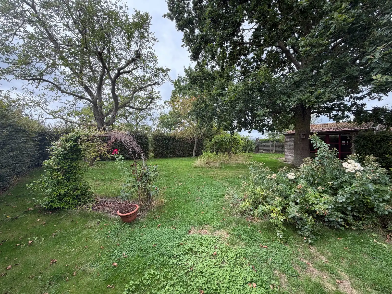 VEELZIJDIGE LANDELIJKE WONING OP 1.170 M² MET TAL VAN MOGELIJKHEDEN! foto 27