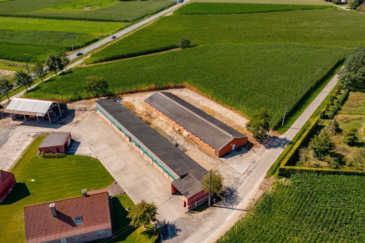 Prachtige hoeve te koop te Kruishoutem op 1,75 ha foto 7