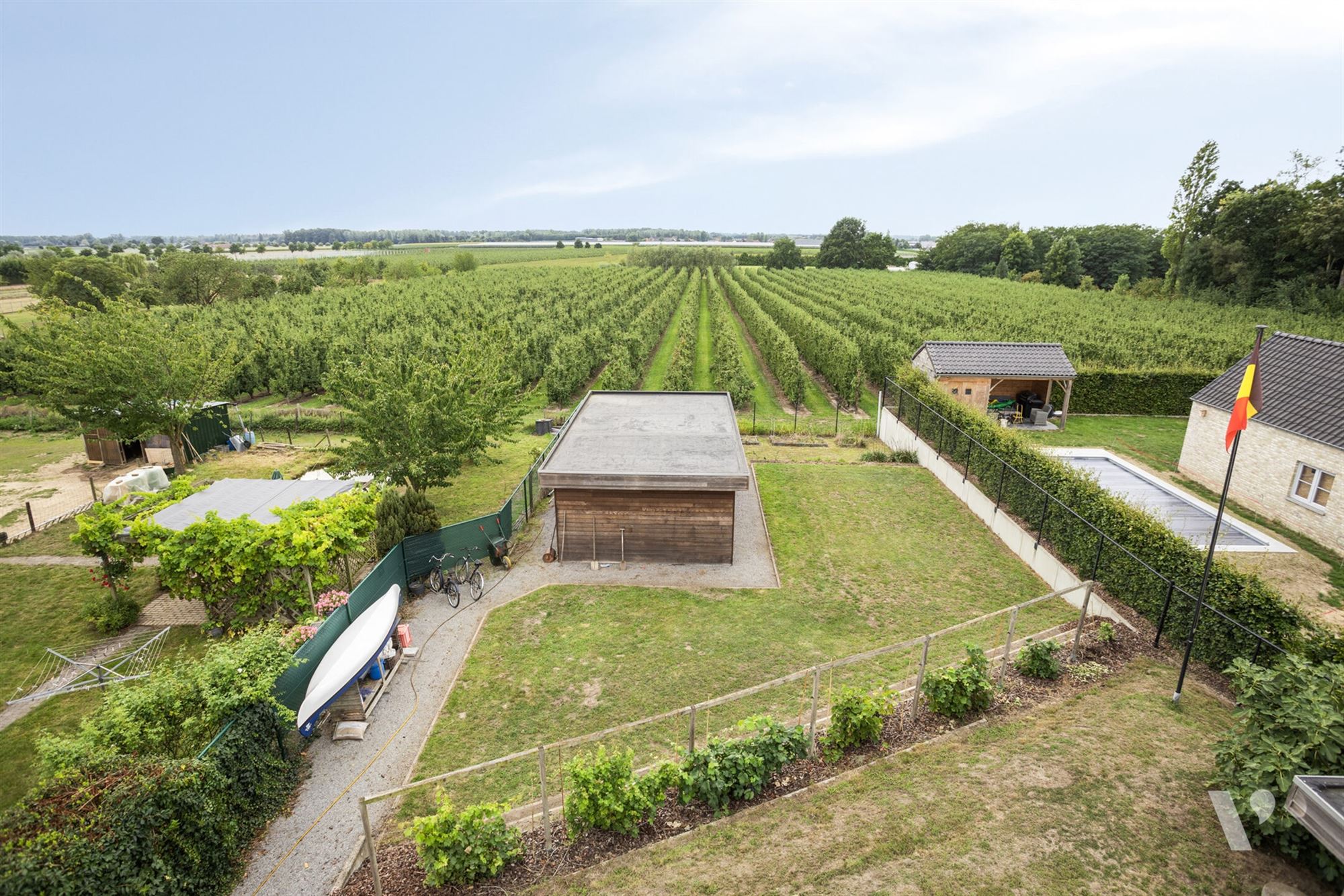 Energiezuinige woning met welness en uitzicht op boomgaard foto 8
