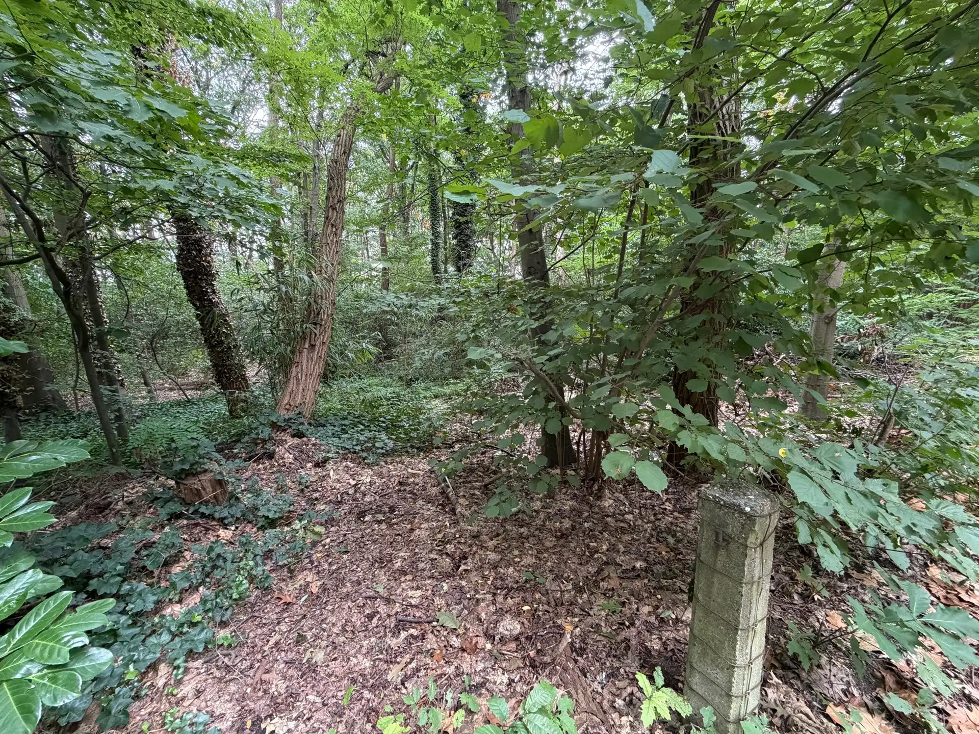 Ruime villagrond van 63a62ca te Heikant-Rotselaar foto 5