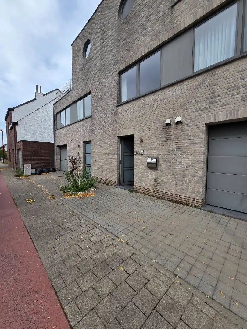 Hier zie je ze vliegen 😊  foto 18