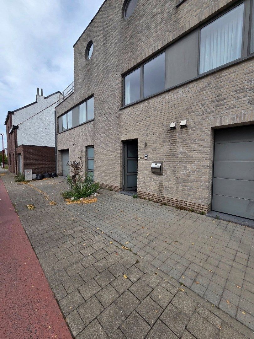 Hier zie je ze vliegen 😊  foto 18