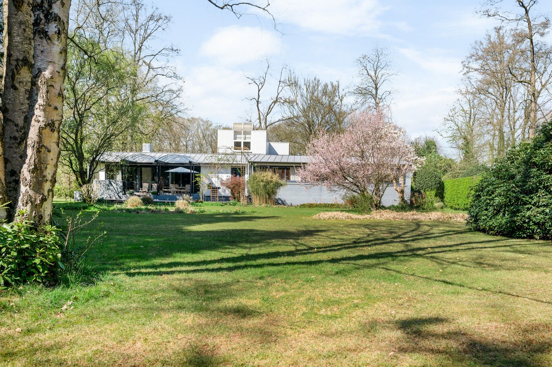 Laagbouwvilla op domein van 4.953 m² foto 4