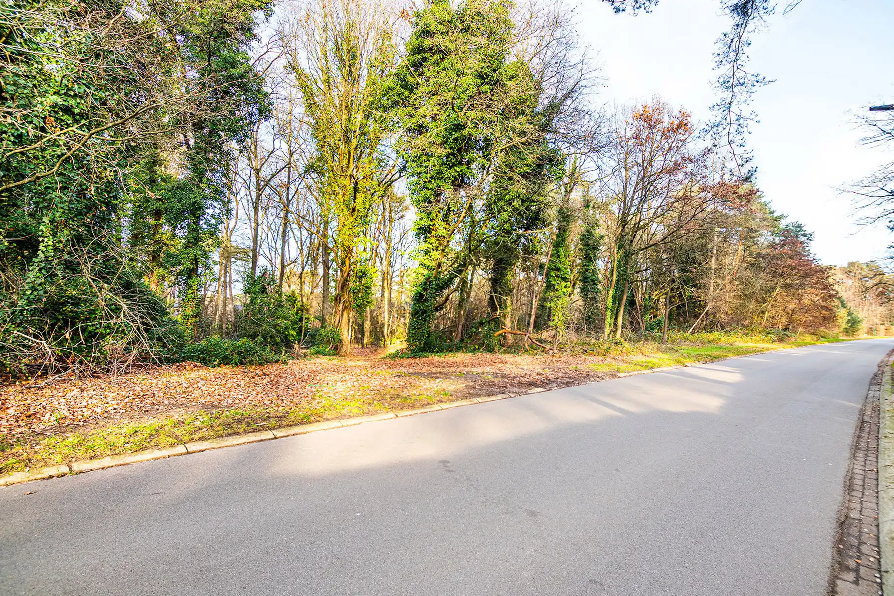 Te realiseren villa zonder verplichting perceelopp 4.370 m²  foto 24