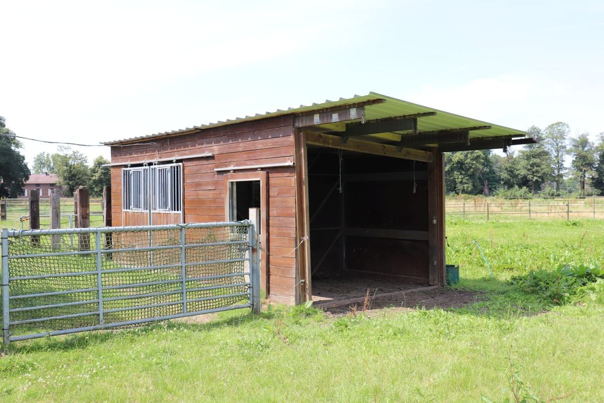 Omheinde weide met paardenstallen te koop te Rotselaar foto 6