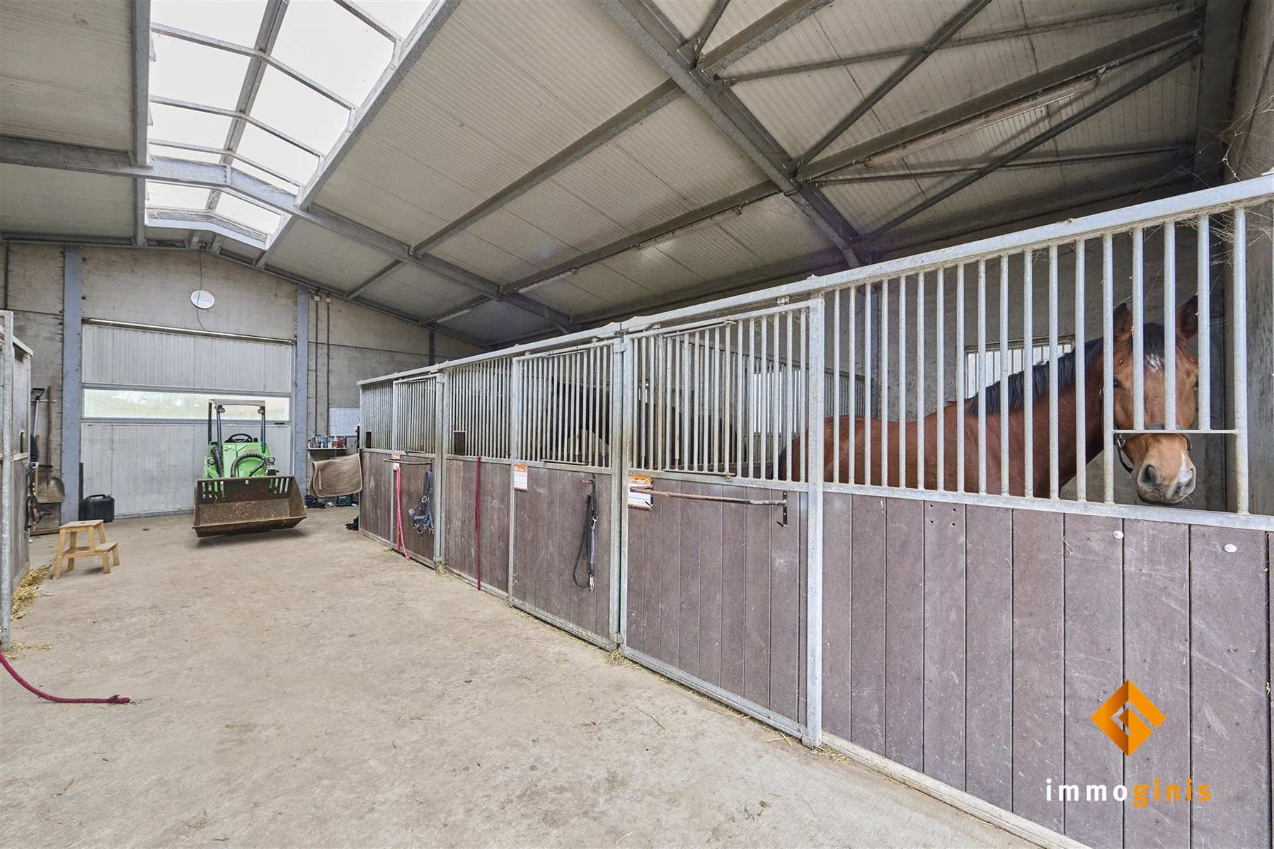 Ruime, gerenoveerde woning met 6 slaapkamers en loods (180m²) op een perceel van 71a44ca. foto 26