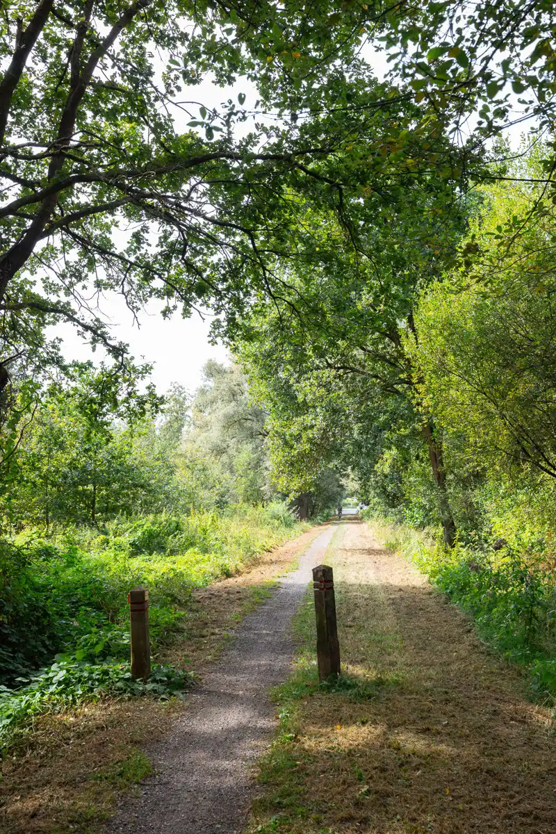 Prachtig stuk natuur foto 5