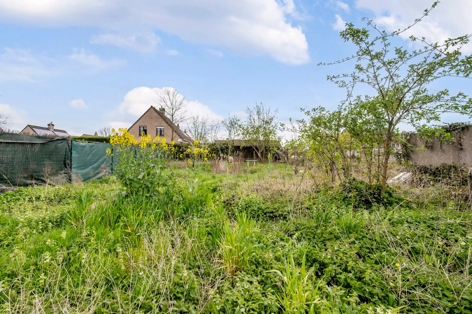 Opbrengsteigendom met 2 appartementen en handelsruimte foto 3