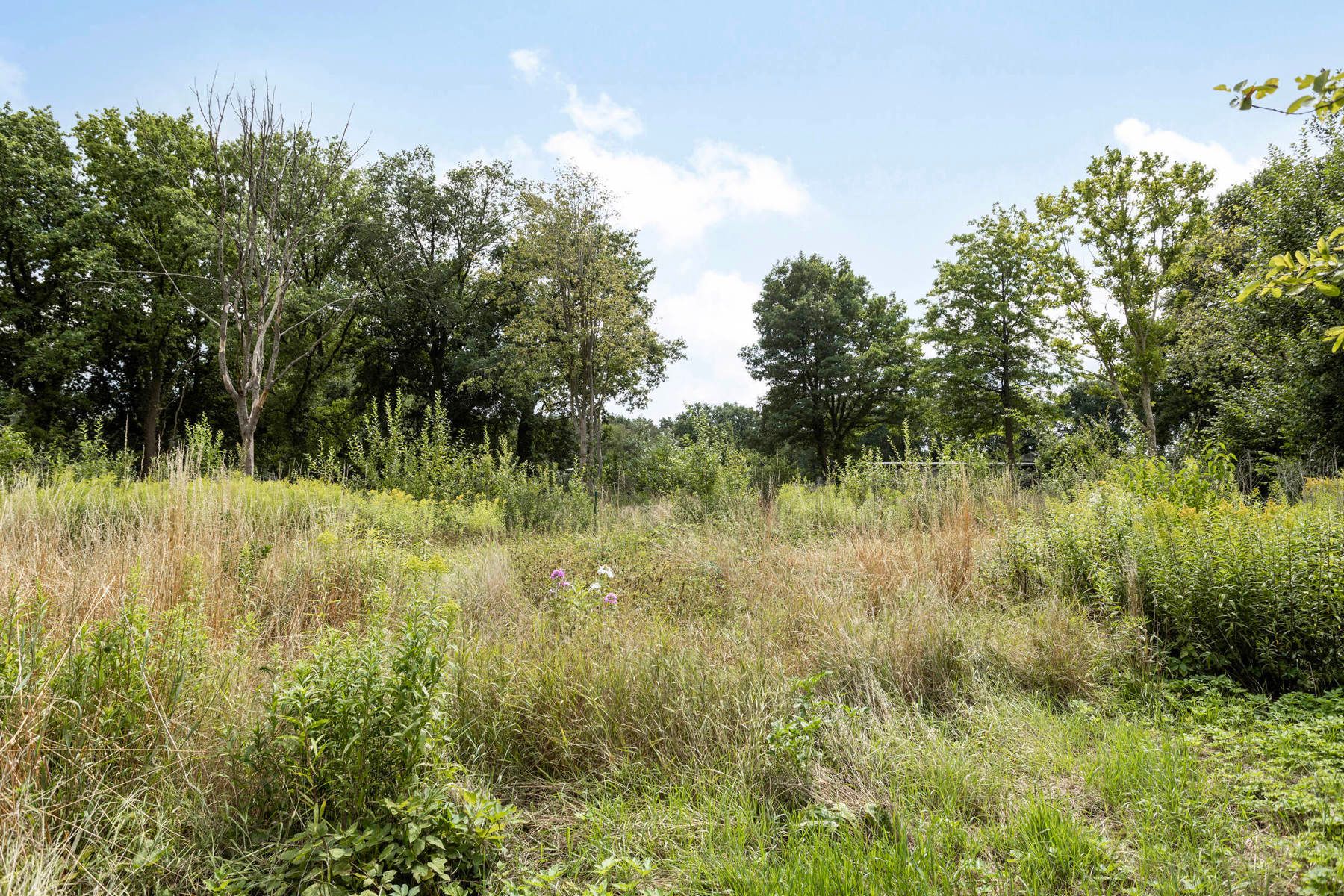 Te renoveren hoeve met authentieke schuur en stallen foto 28